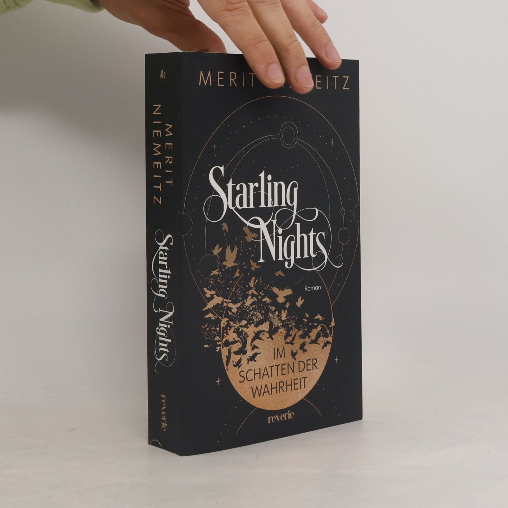 Merit Niemeitz Starling Nights 1