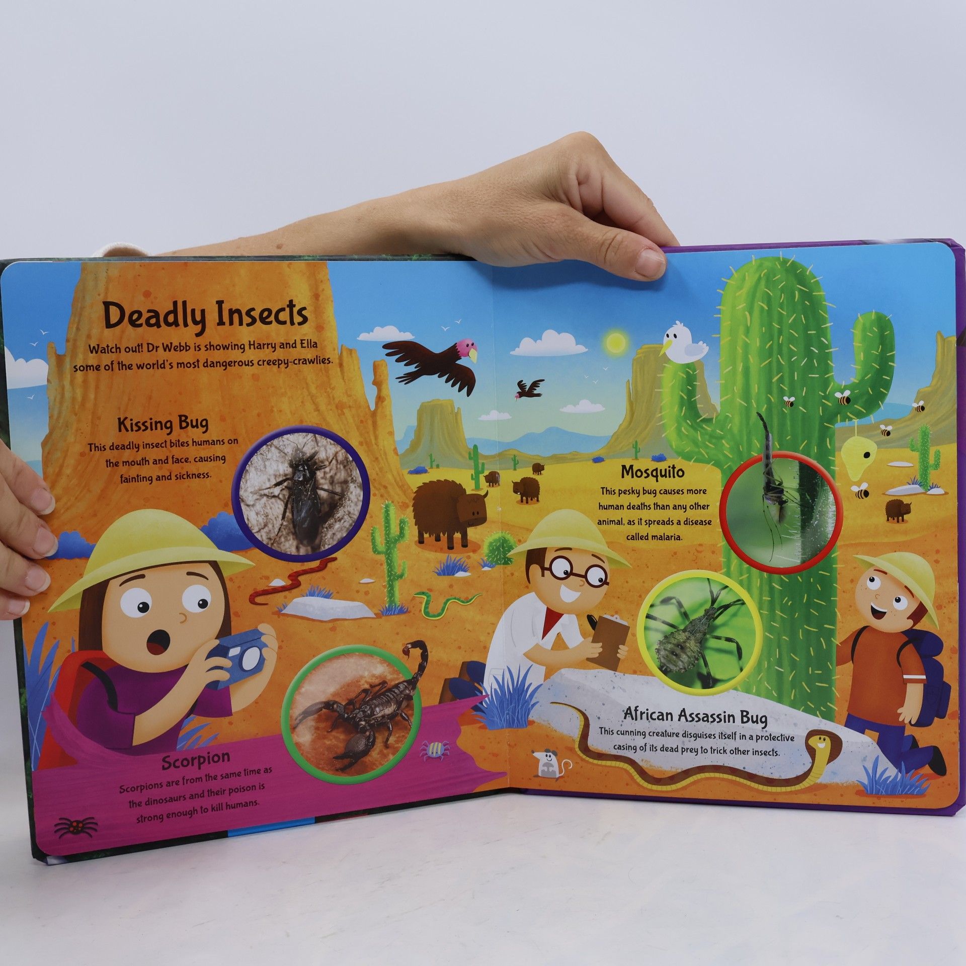 Igloo Books Creepy Crawlies