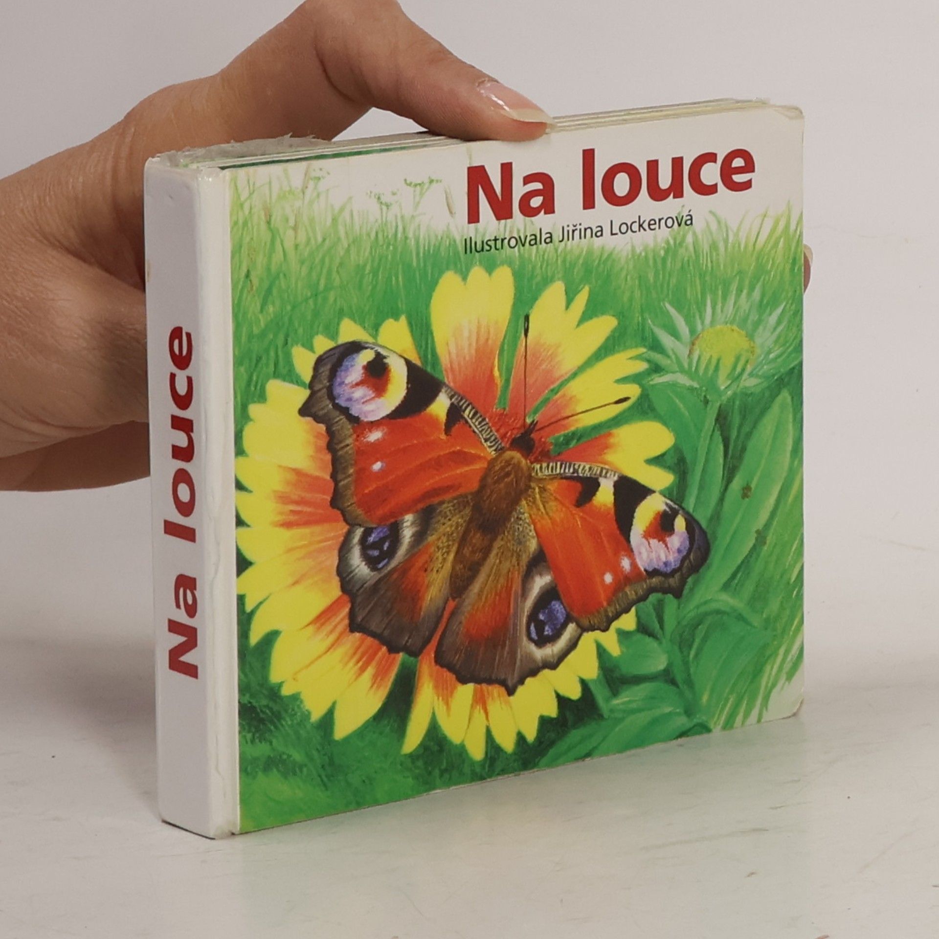 Jiřina Lockerová Na louce