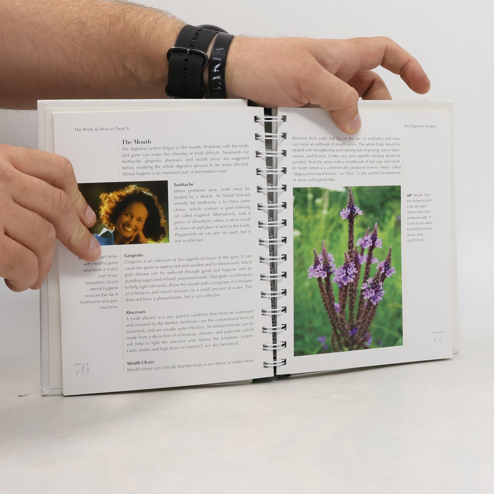 Jade Britton The Herbal Healing Bible
