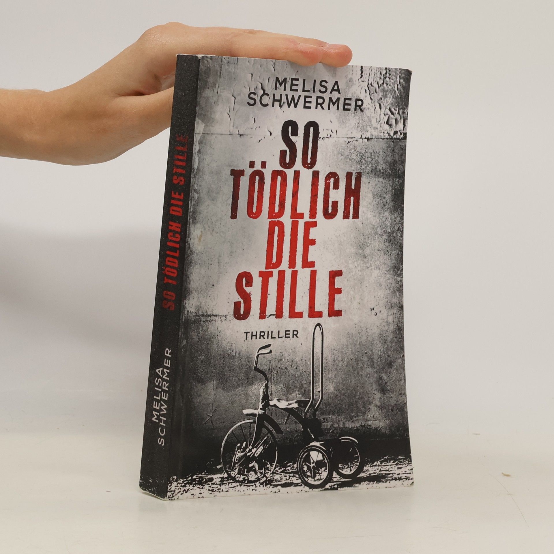 Melisa Schwermer So tödlich die Stille