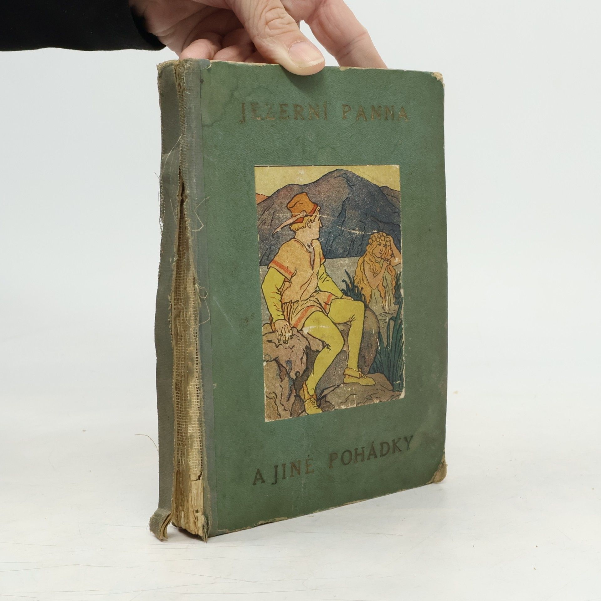 Various authors Jezerní panna. Princezna a divoký kanec
