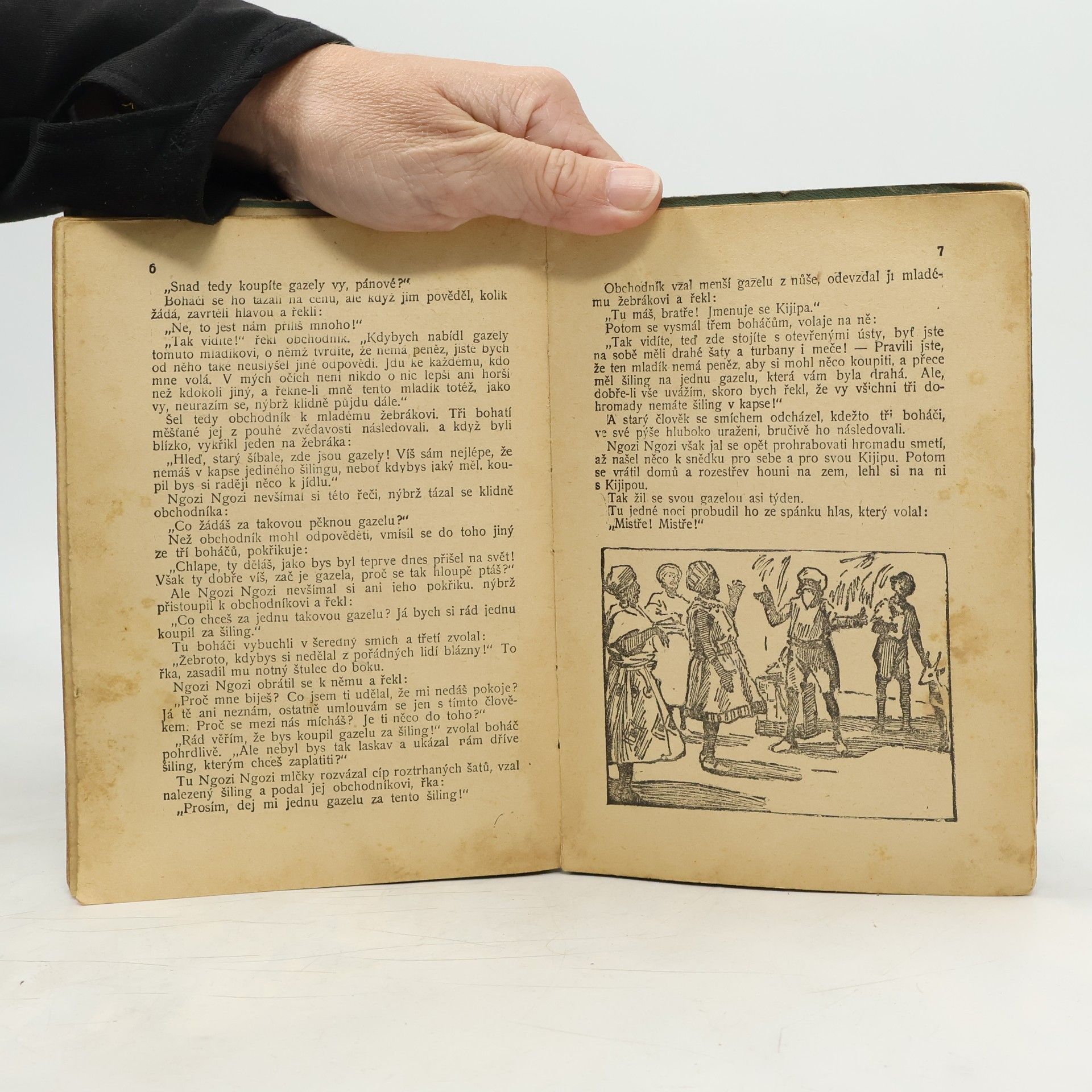 Various authors Jezerní panna. Princezna a divoký kanec