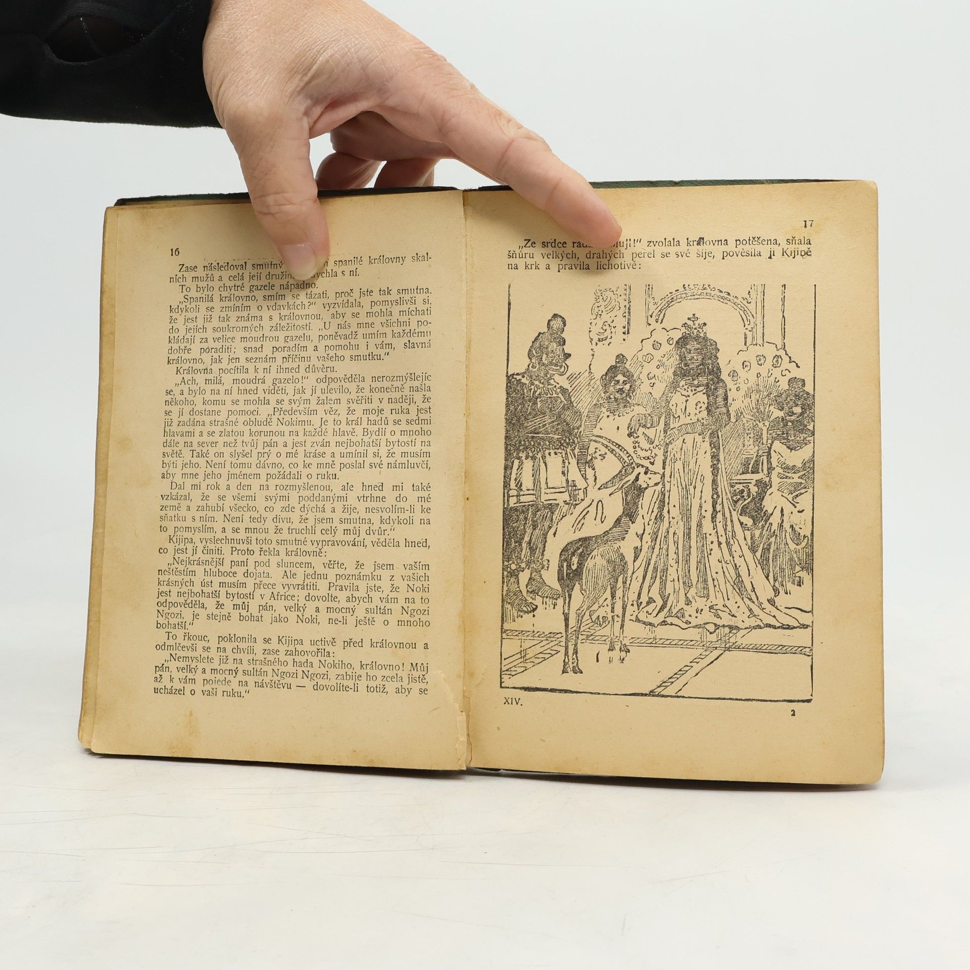 Various authors Jezerní panna. Princezna a divoký kanec