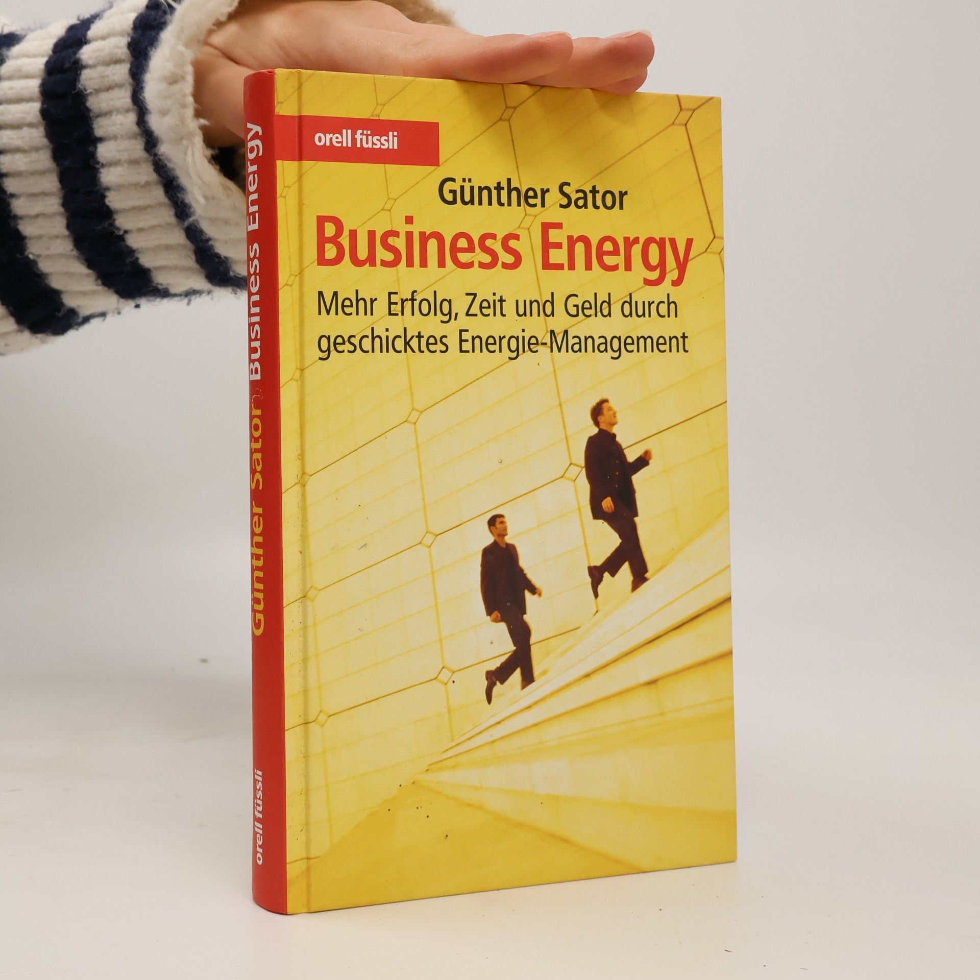 Günther Sator Business energy