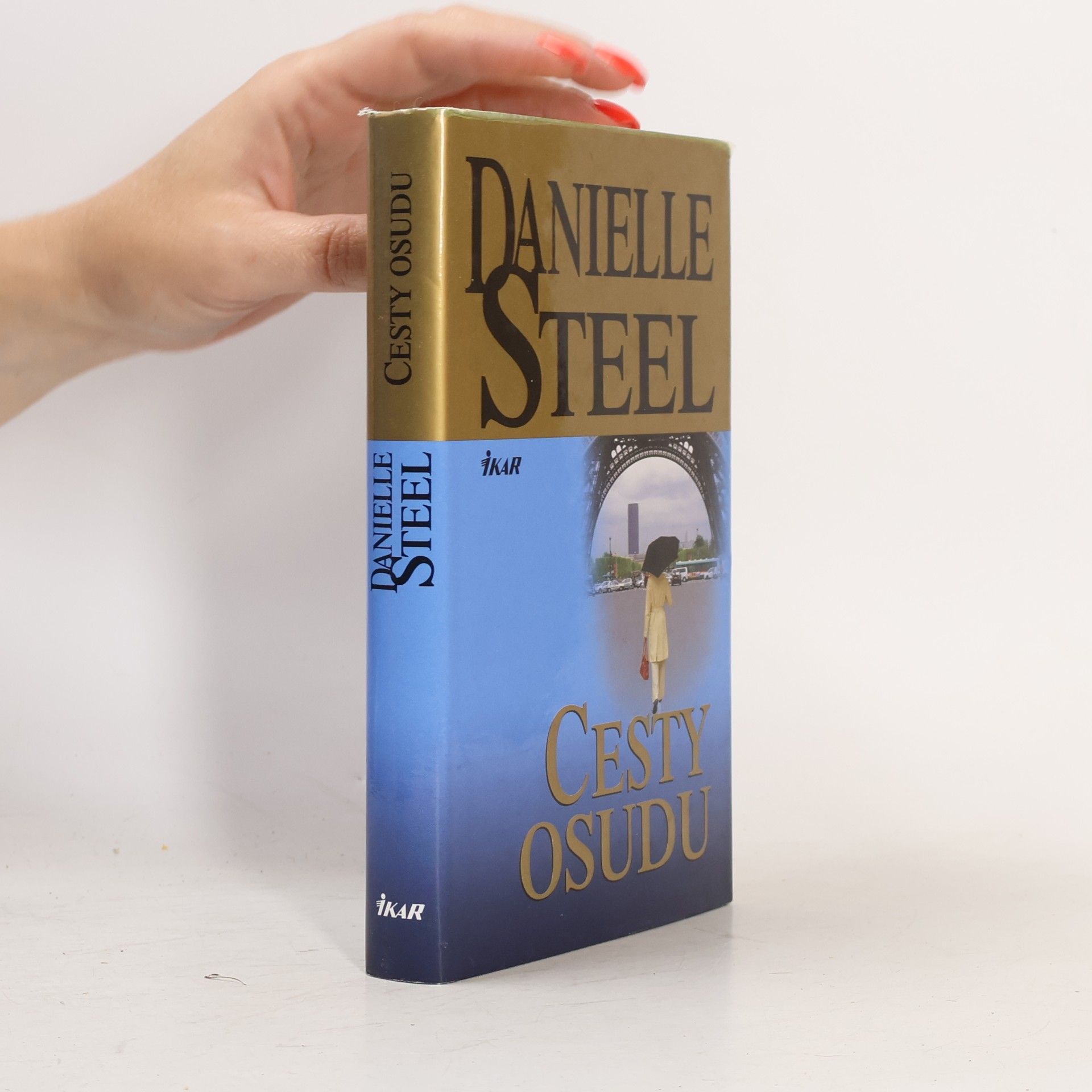 Danielle Steel Cesty osudu