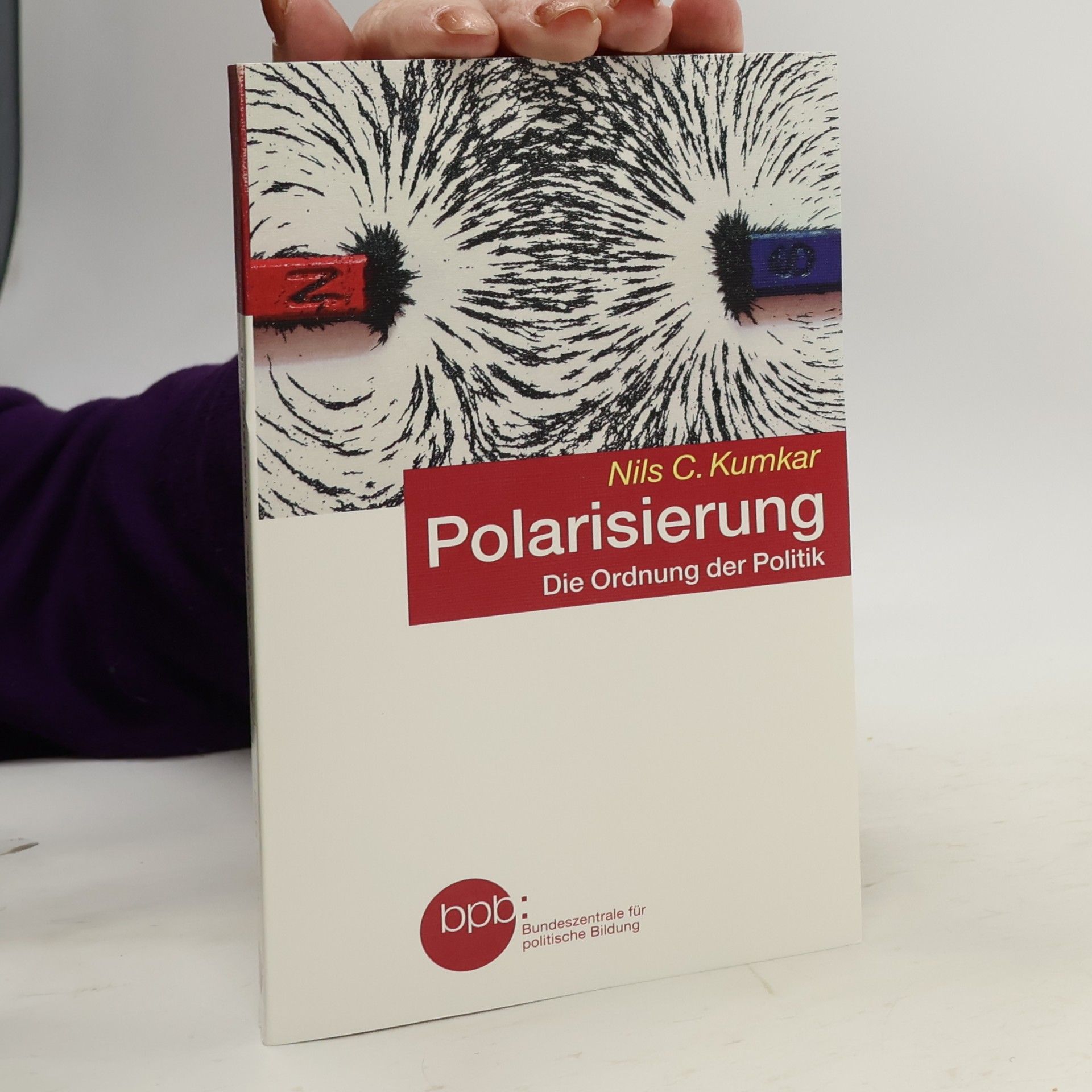 Nils C. Kumkar Polarisierung. Die Ordnung der Politik