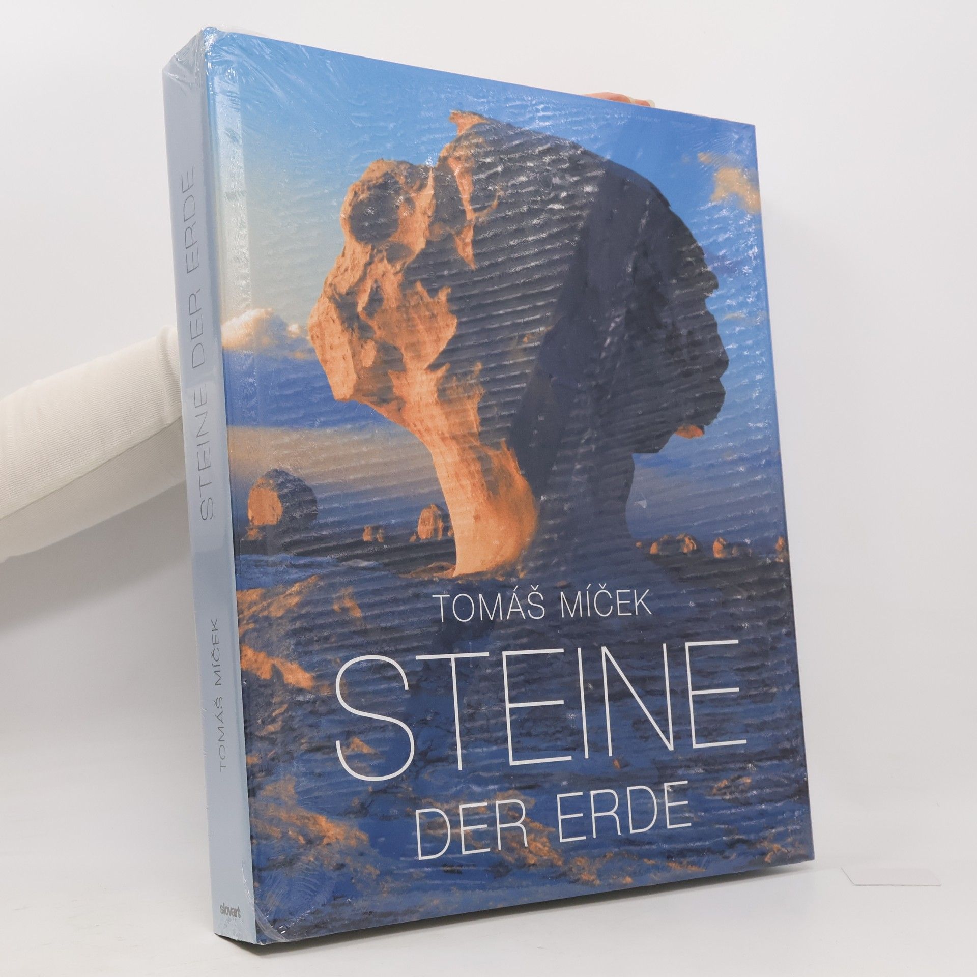 Tomáš Míček Steine der Erde (2020)
