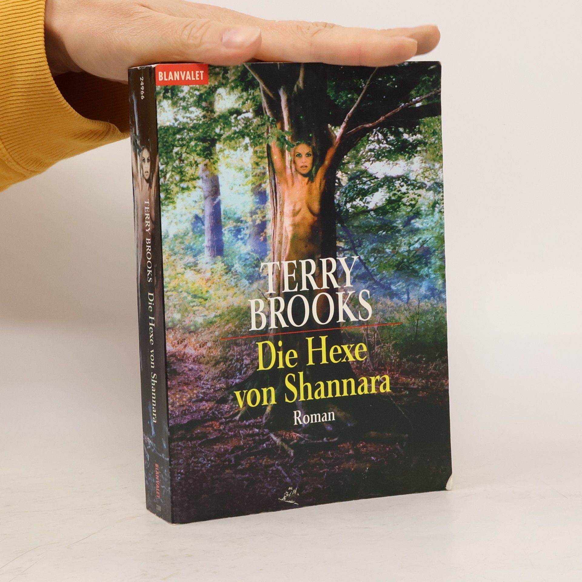 Terry Brooks Die Hexe von Shannara