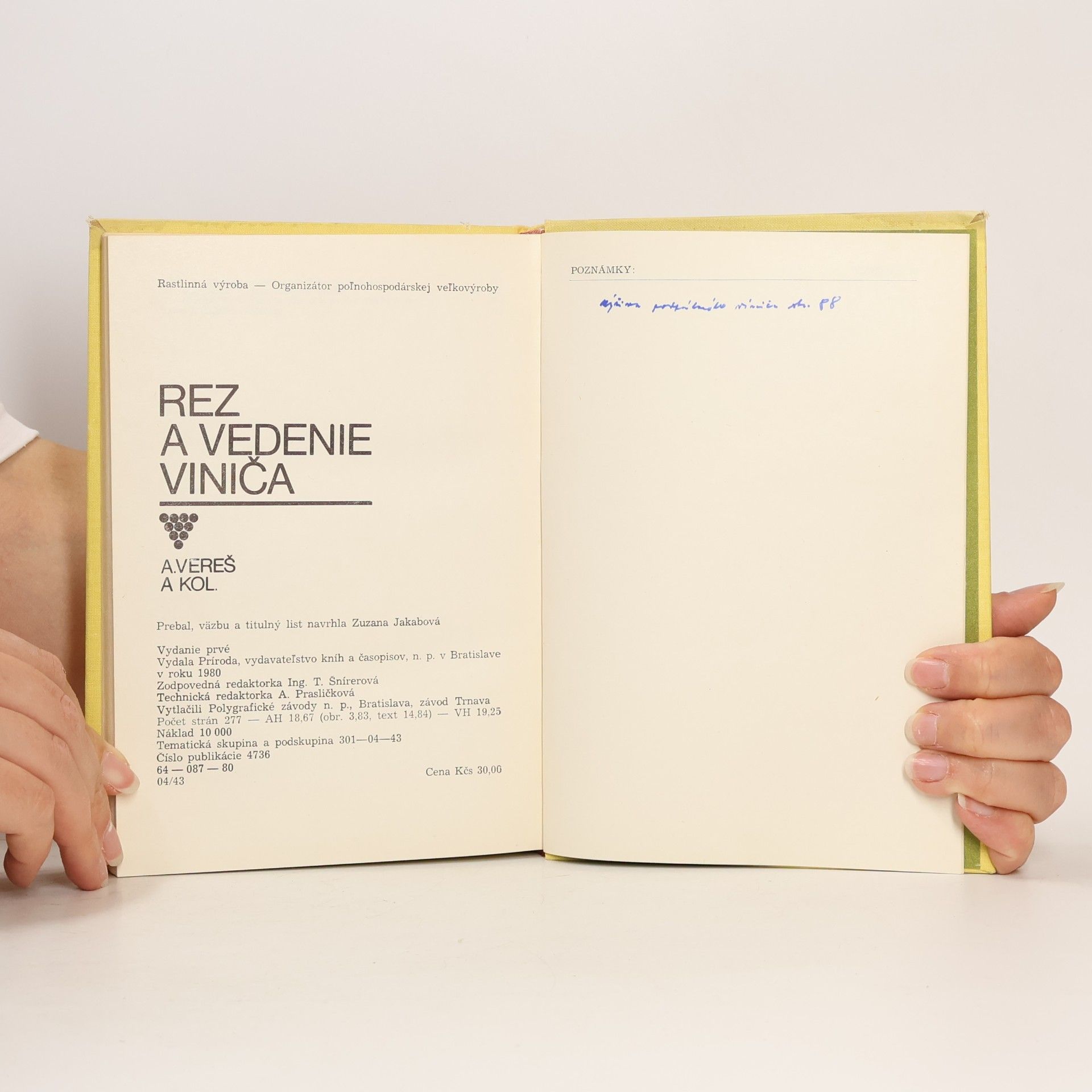 Autorenkollektiv Rez a vedenie viniča