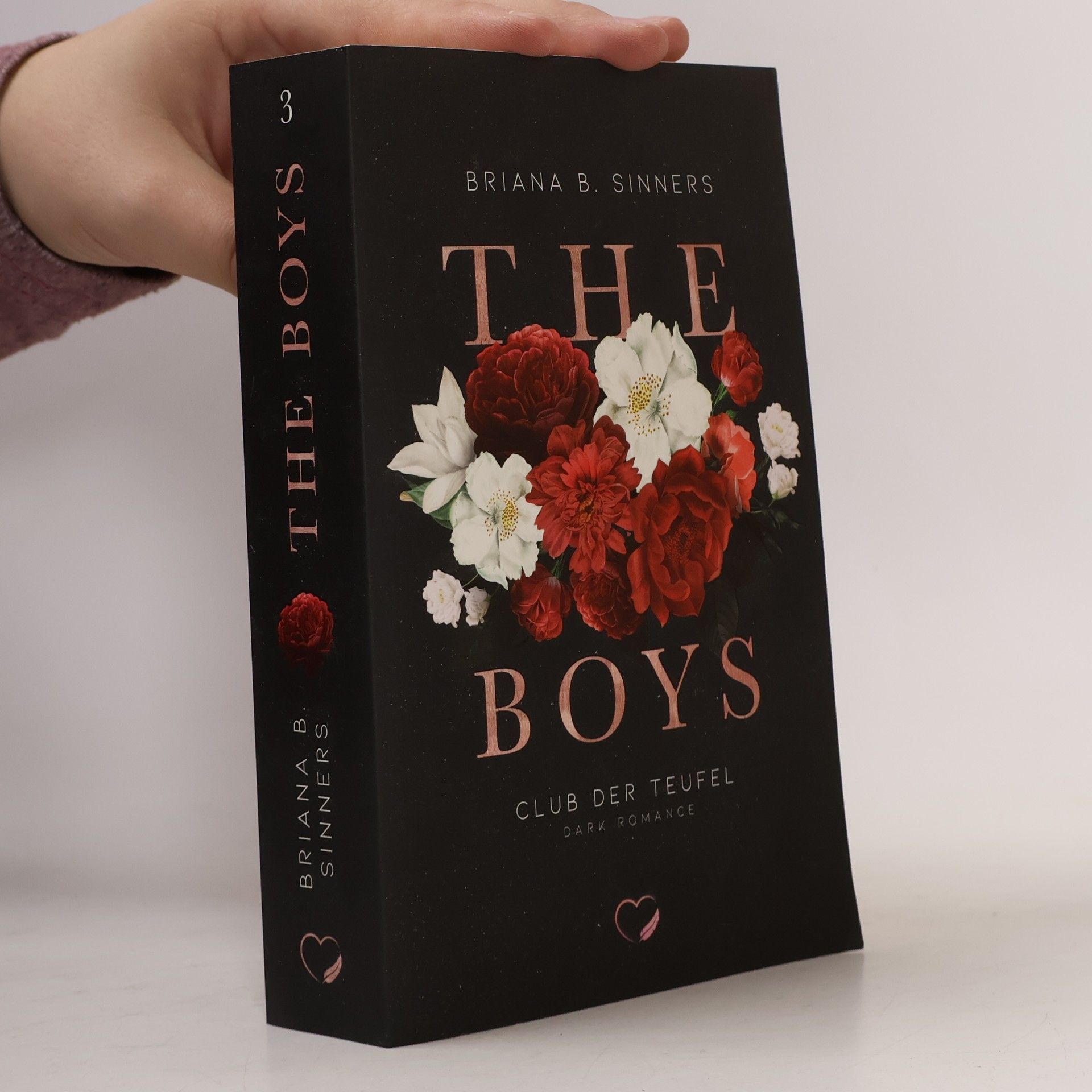 Briana B. Sinners The Boys 3