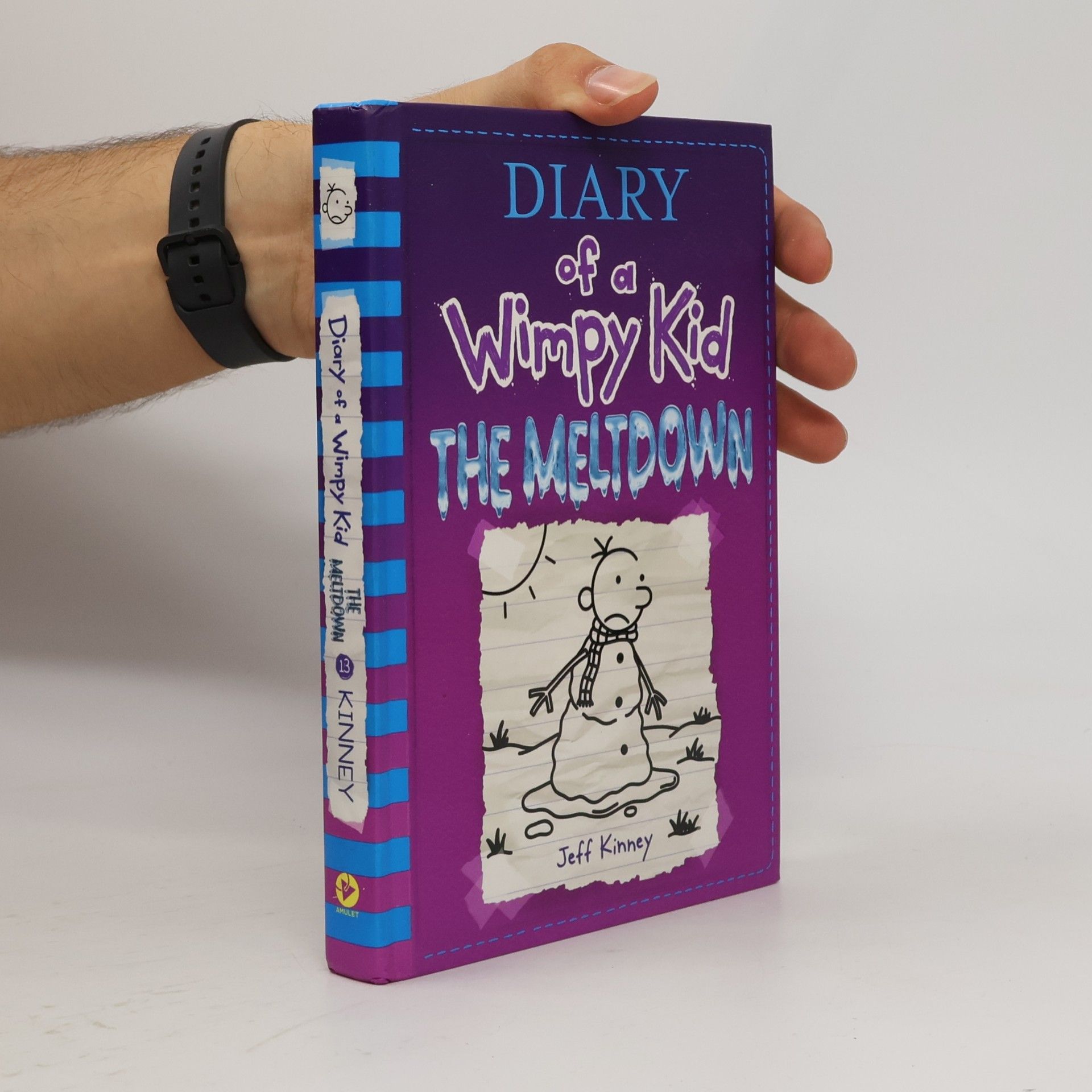 Jeff Kinney Diary of a Wimpy Kid 13: The Meltdown