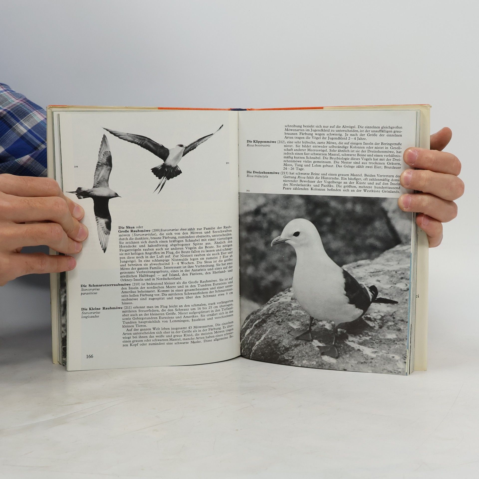 Jan Hanzák Welt der Vögel in Farbe