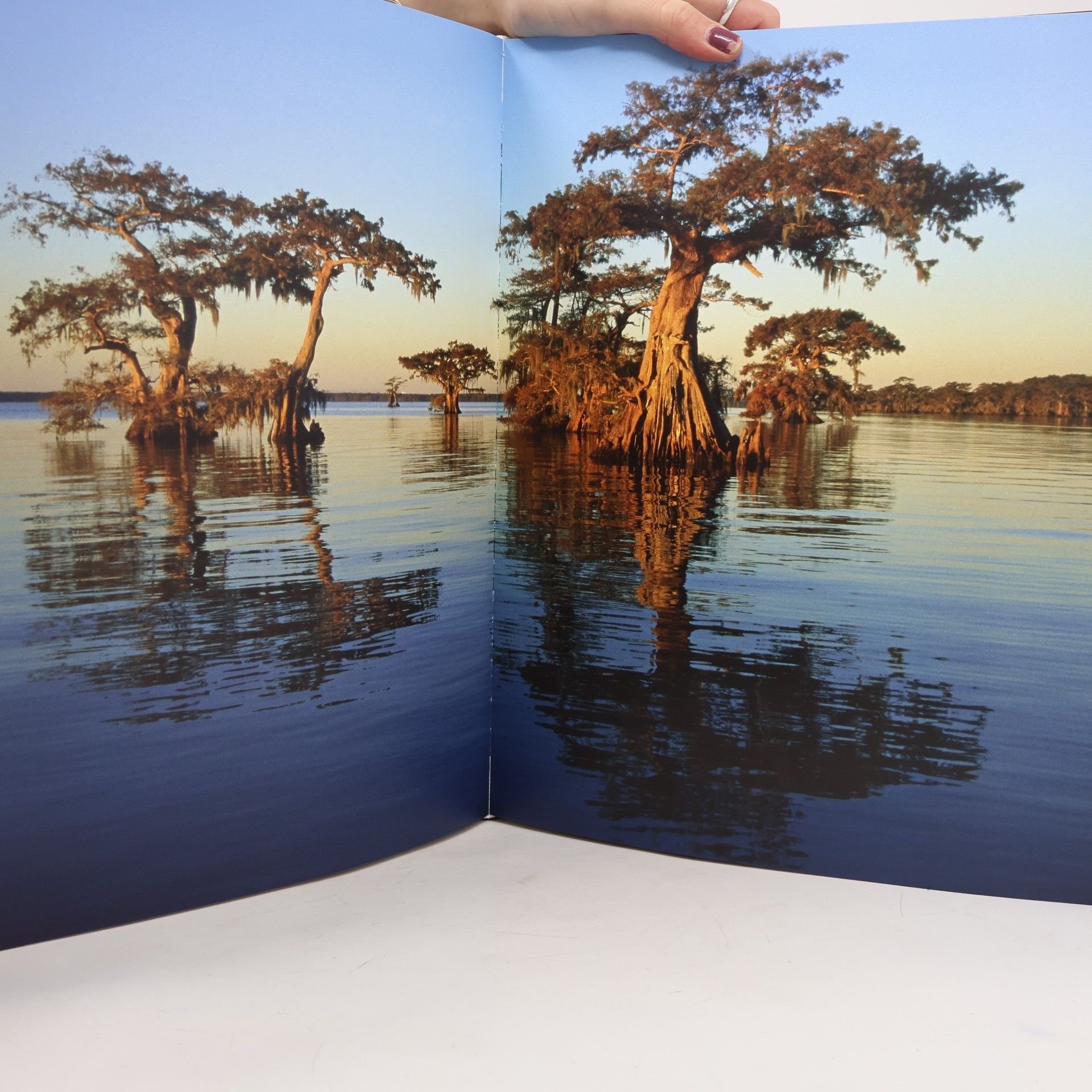 Tomáš Míček Trees of the Earth