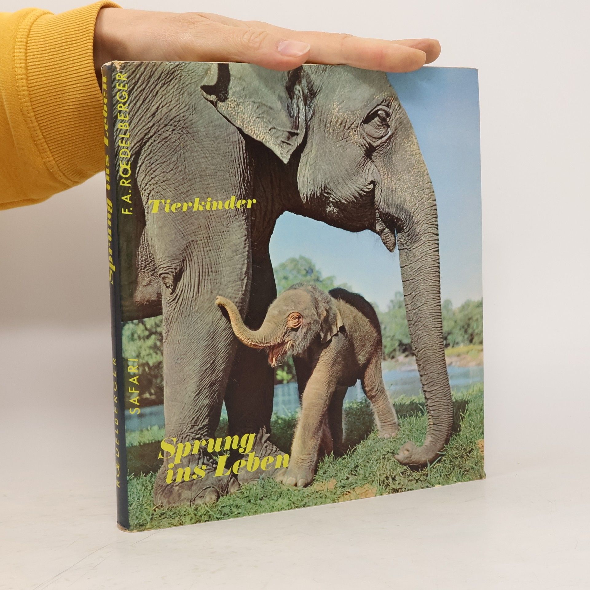 Tierkinder. Sprung ins Leben
