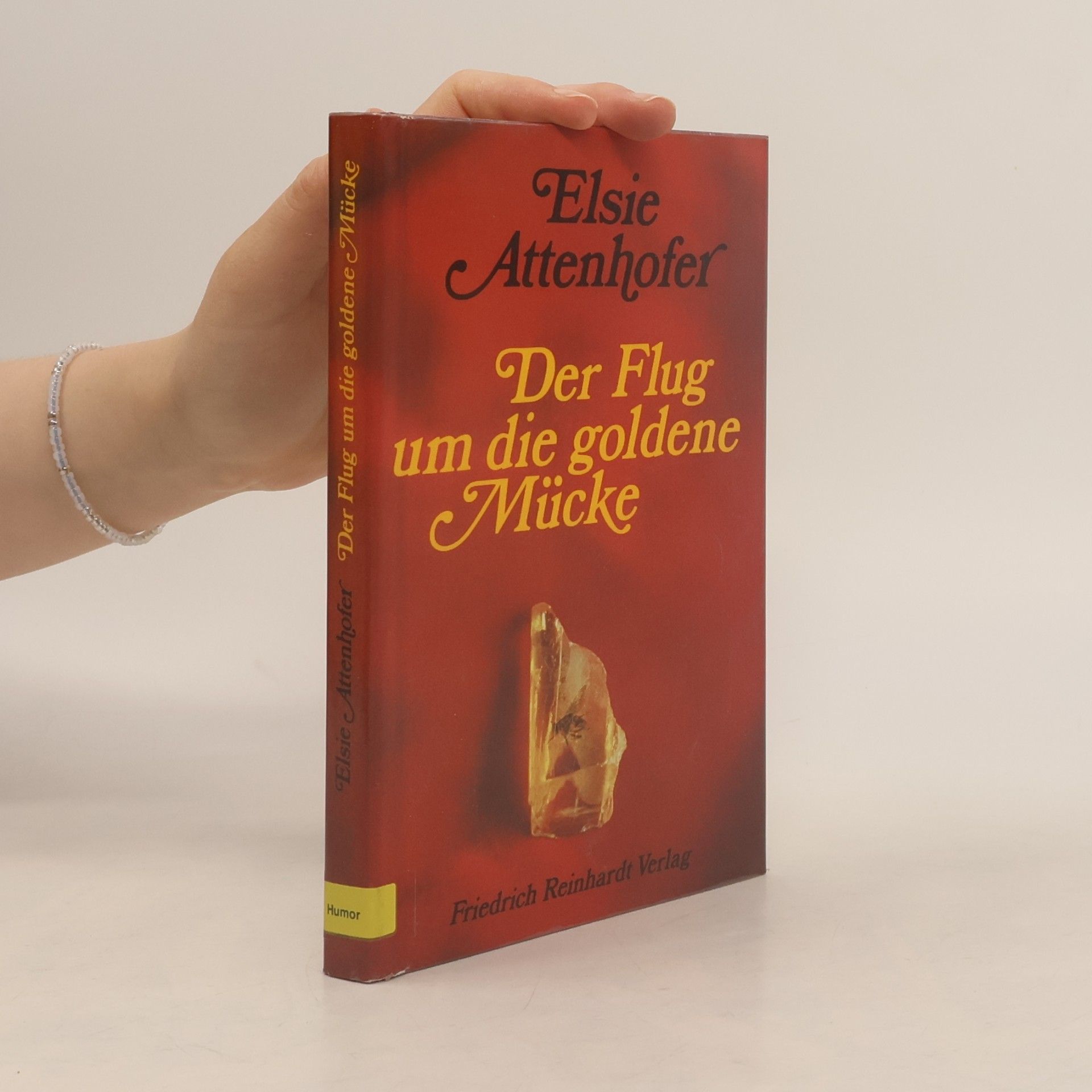 Der Flug um die goldene Mücke