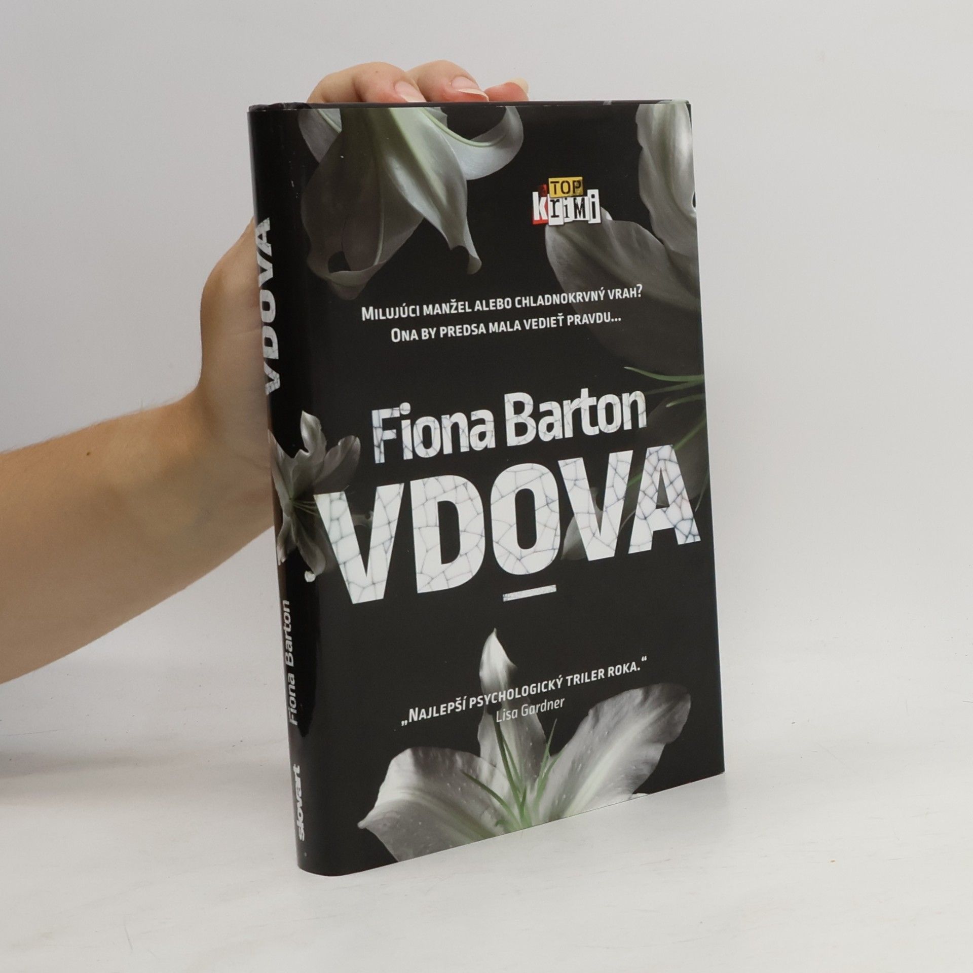 Fiona Barton Vdova