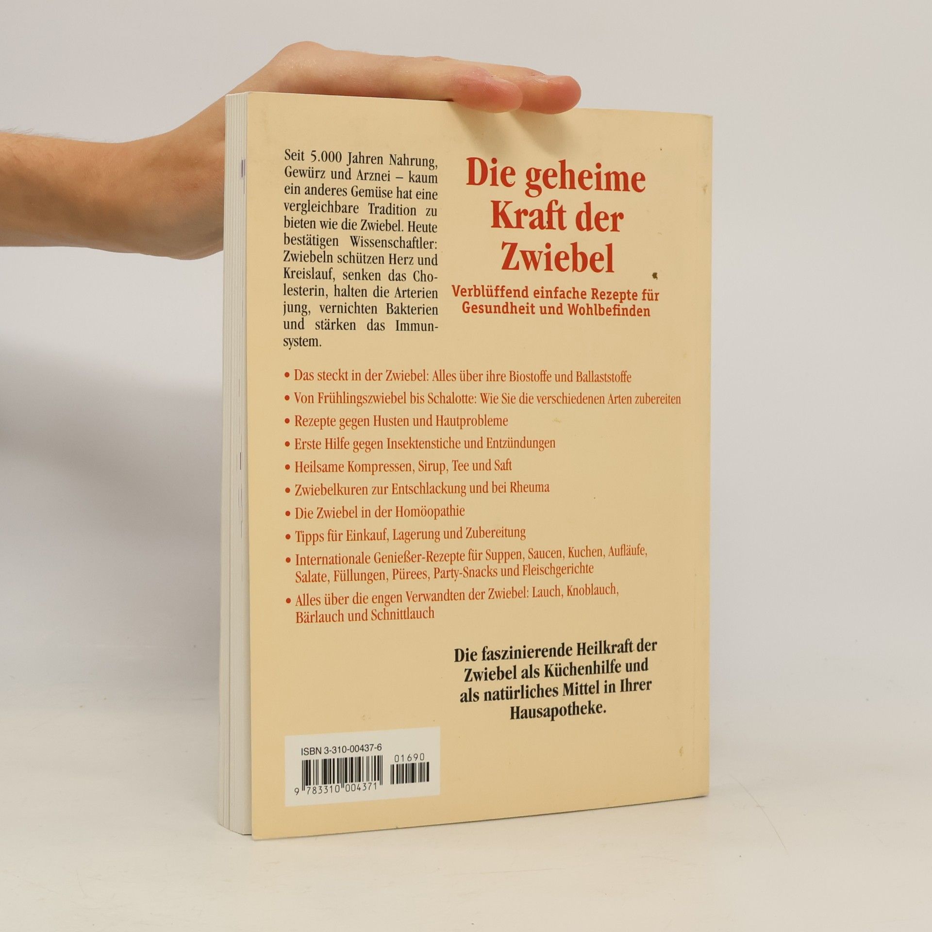 Ulrich Ravens Die geheime Kraft der Zwiebel