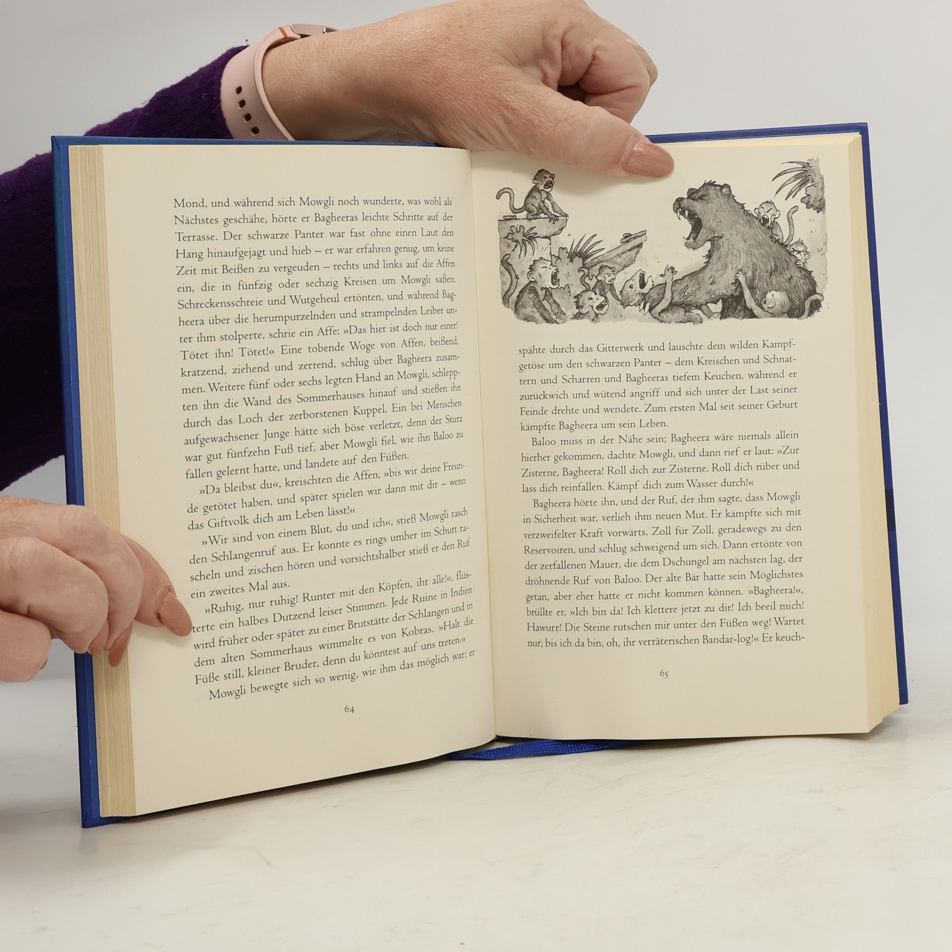 Rudyard Kipling Das Dschungelbuch
