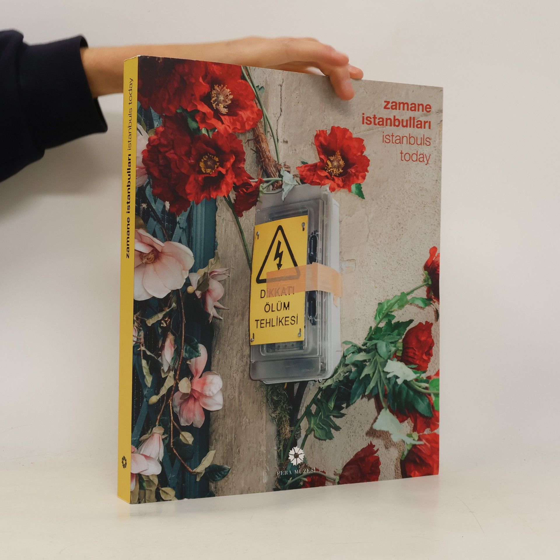 Autorenkollektiv Zamane İstanbulları