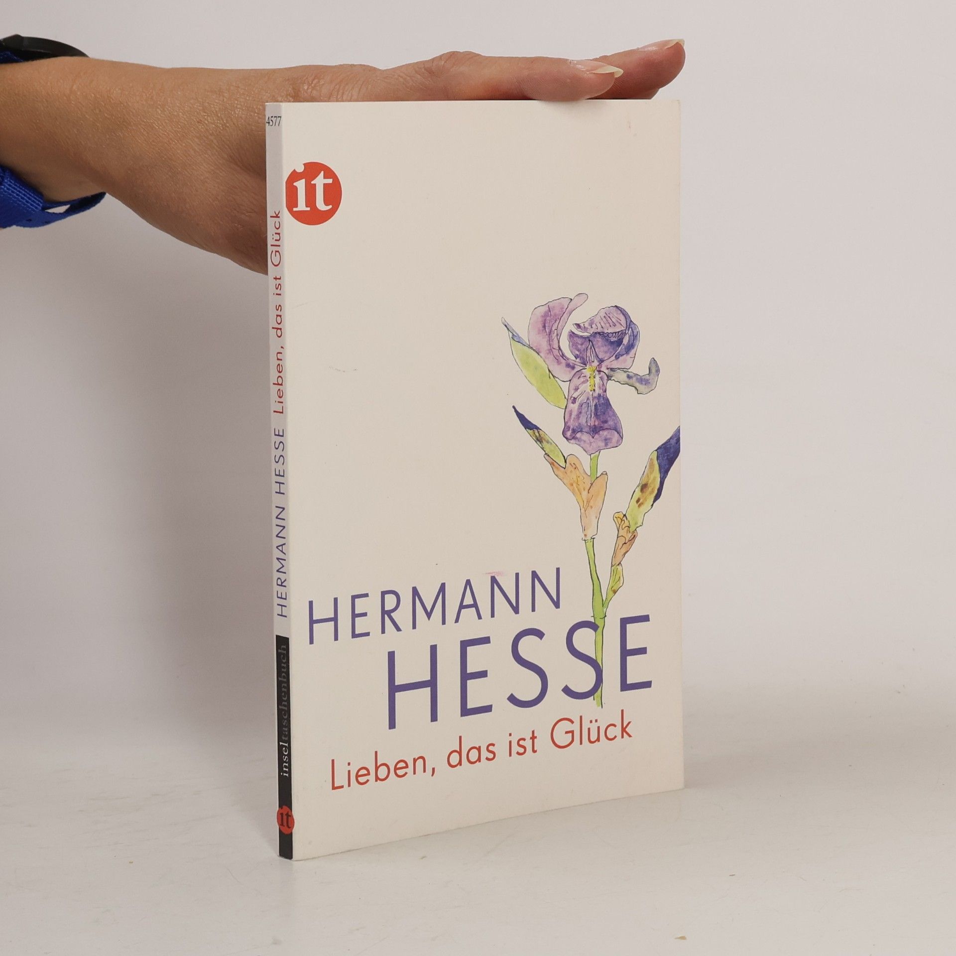 Hermann Hesse Lieben, das ist Glück