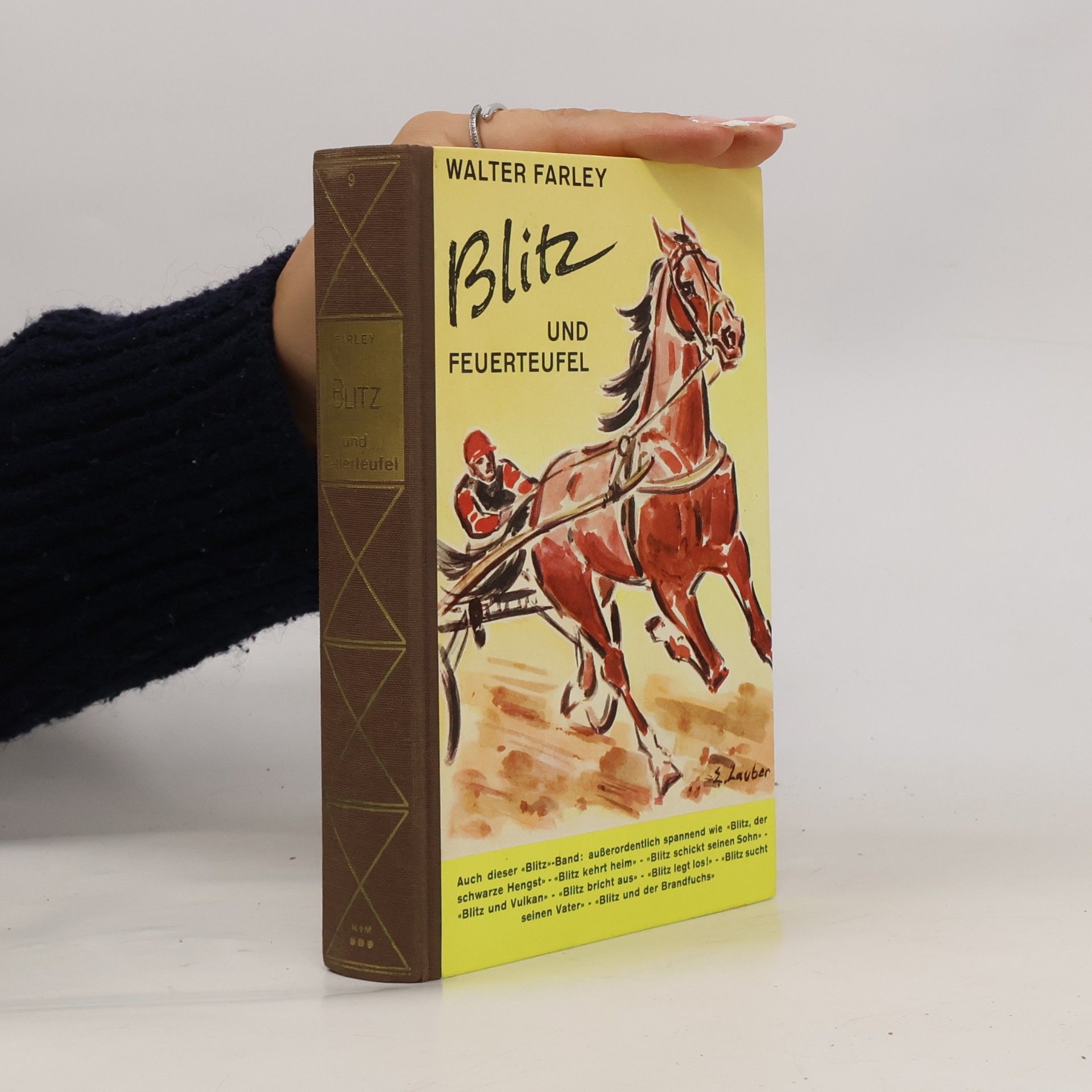 Walter Farley Blitz und der Feuerteufel