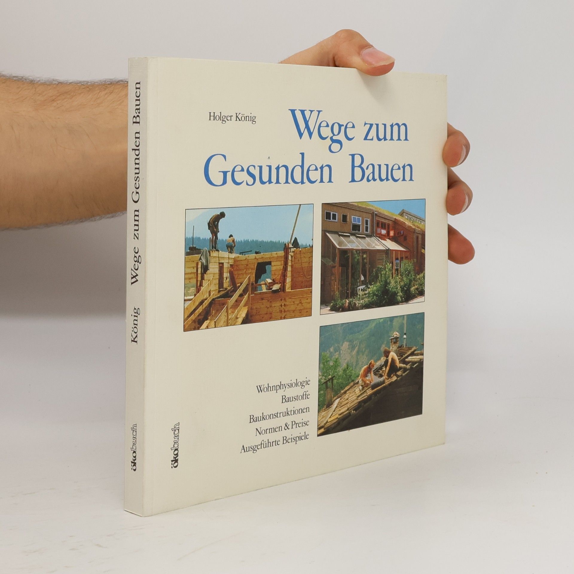 Holger König Wege zum gesunden Bauen