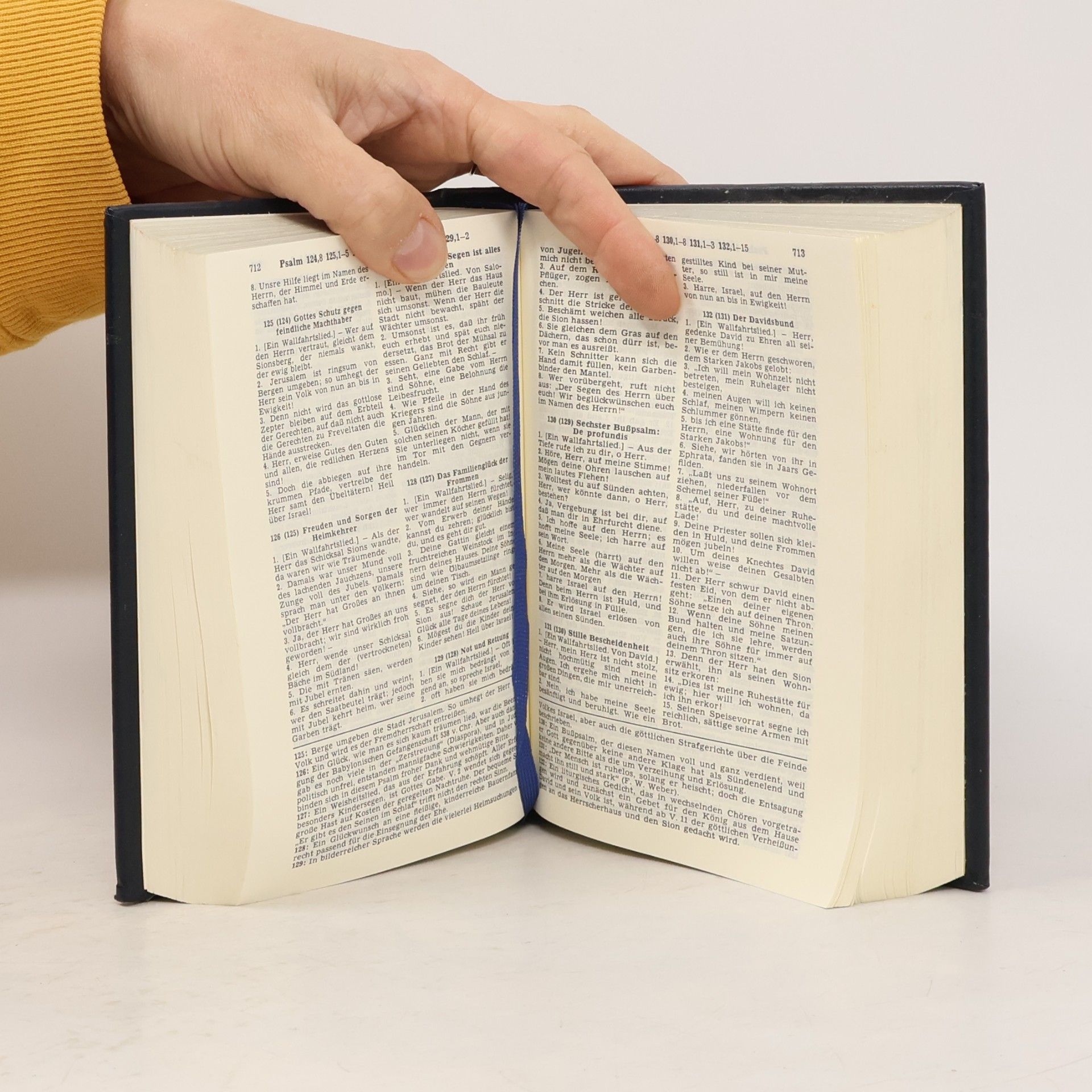 Vinzenz Hamp Die Bibel