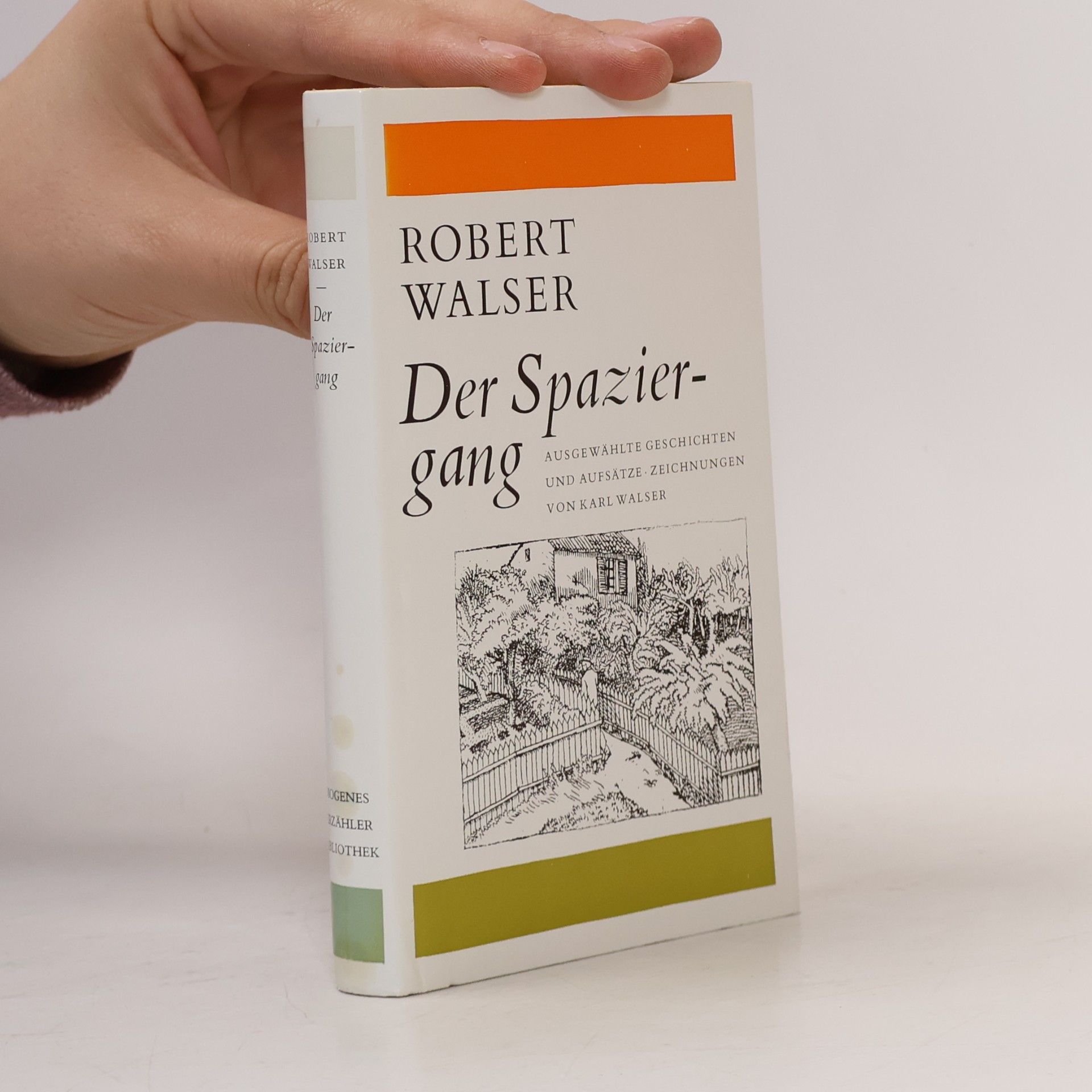 Robert Walser Der Spaziergang