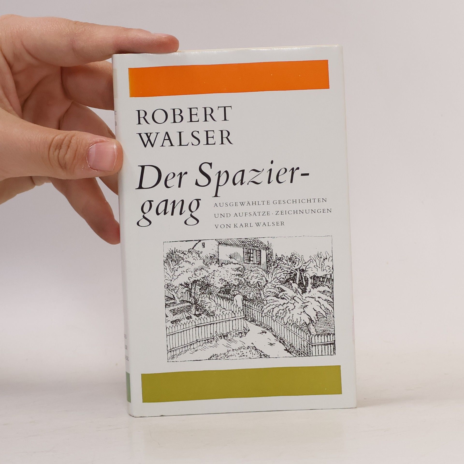 Robert Walser Der Spaziergang