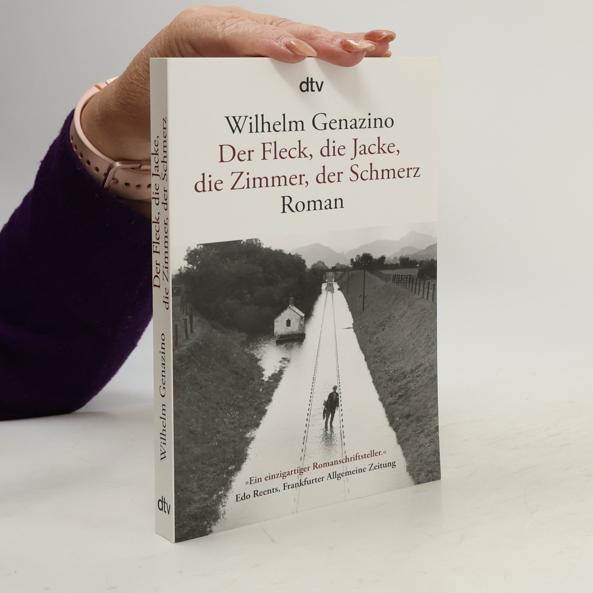 Wilhelm Genazino Der Fleck, die Jacke, die Zimmer, der Schmerz