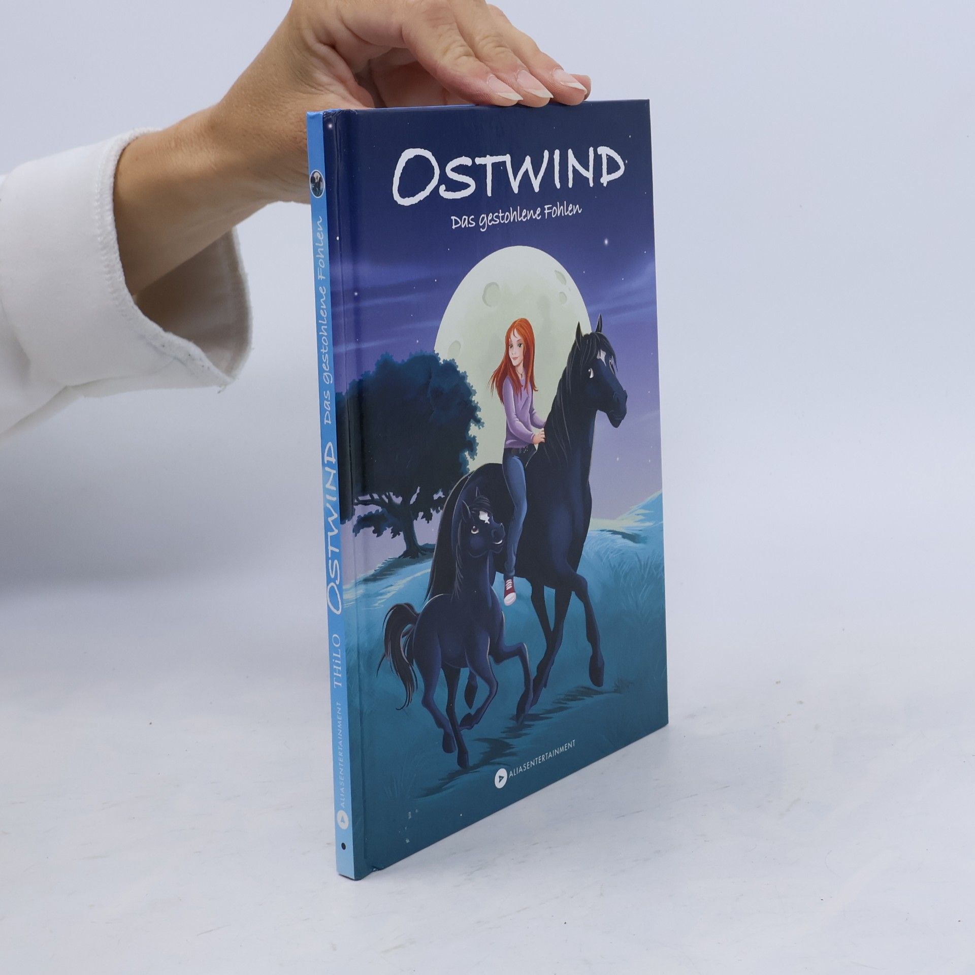 Thilo OSTWIND - Das gestohlene Fohlen