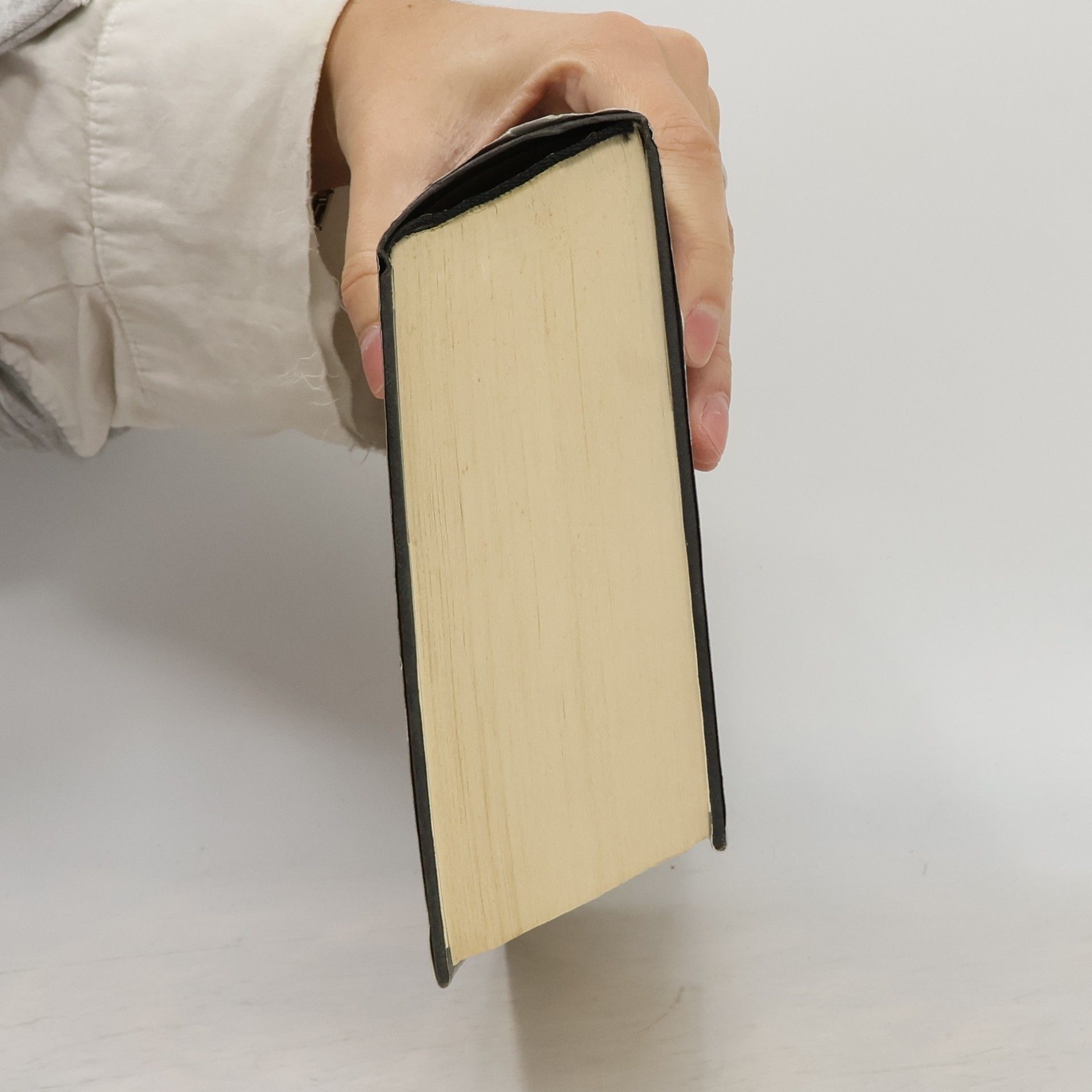 Robert Ludlum Der Ikarus-Plan