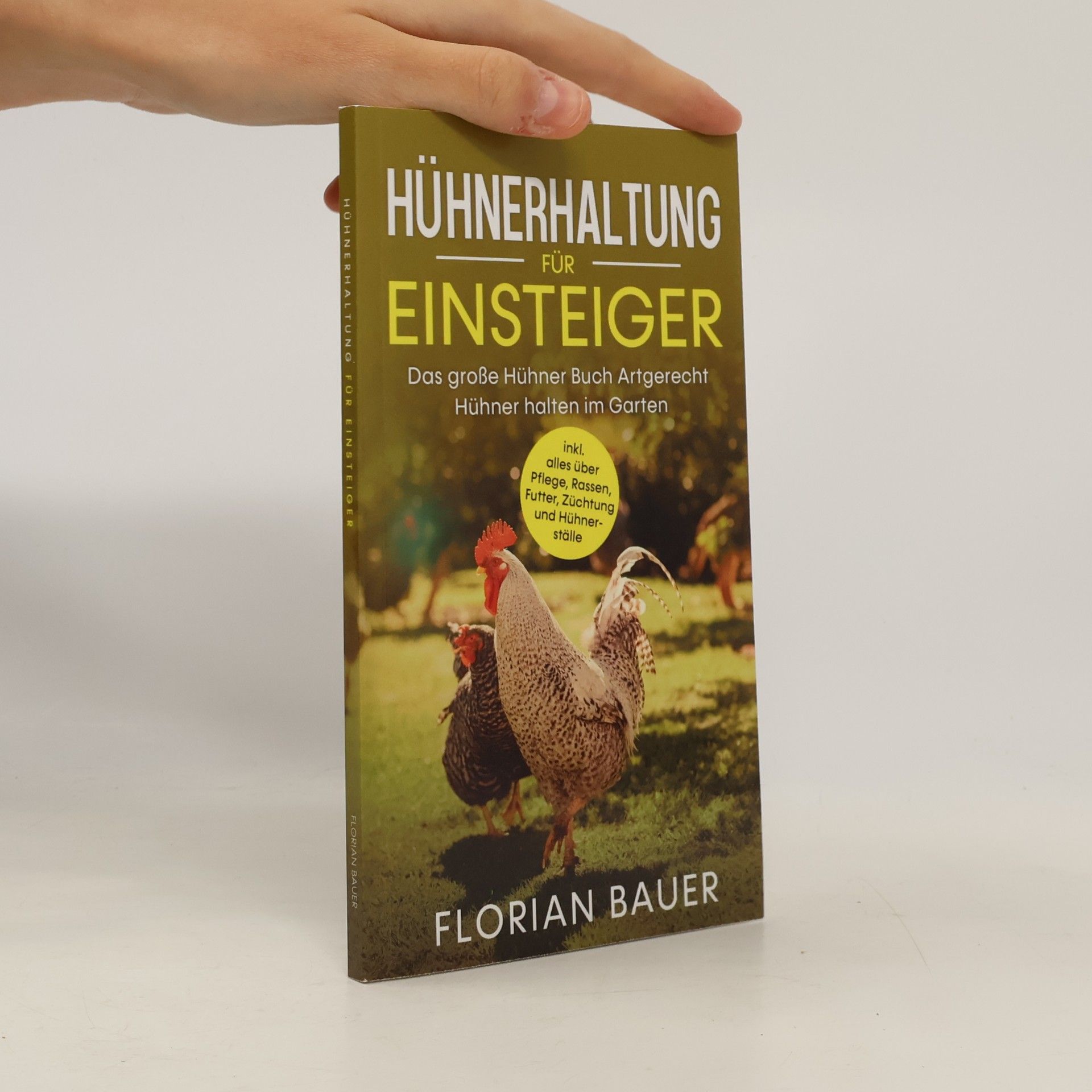 Hühnerhaltung für Einsteiger