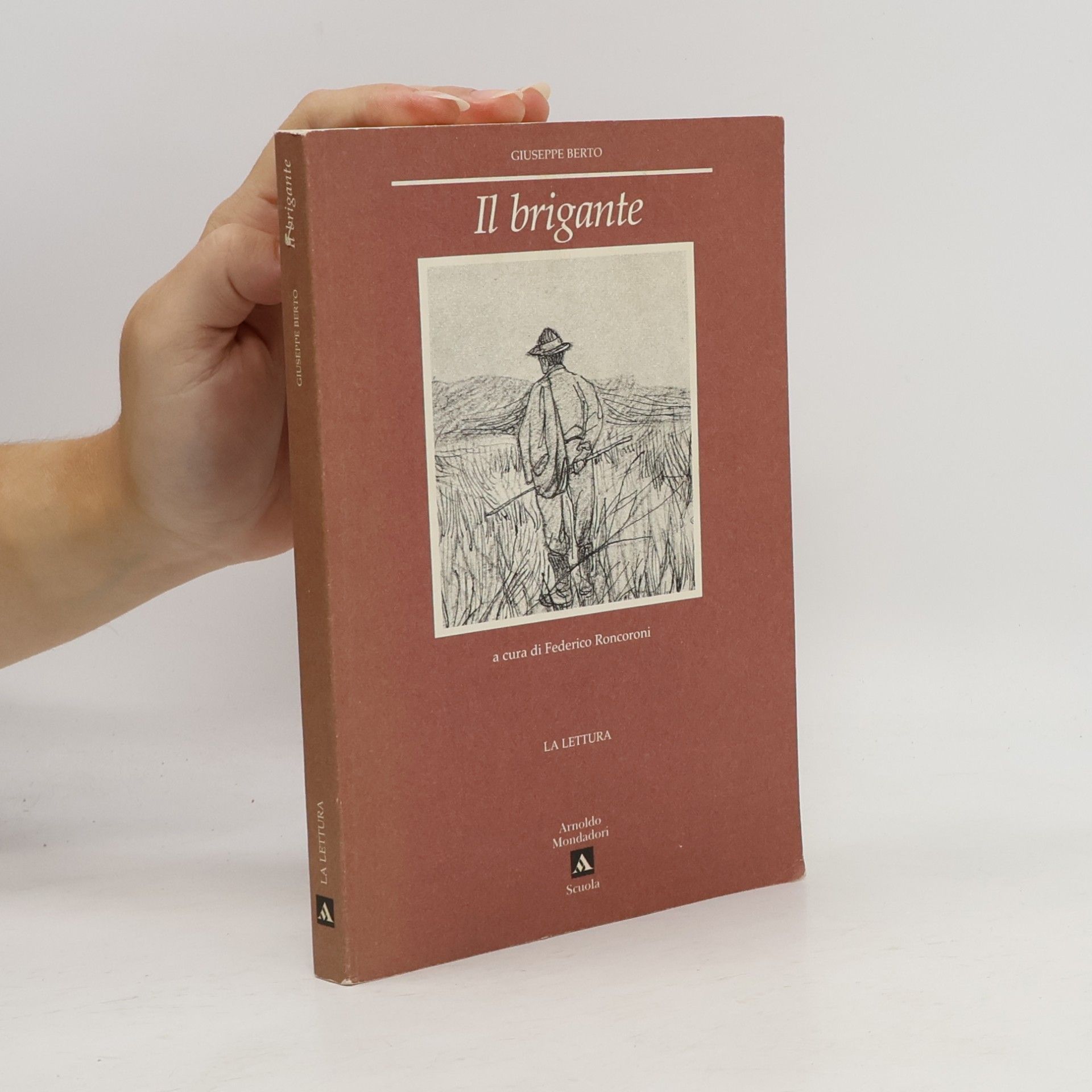 Federico Roncoroni La lettura: Il brigante