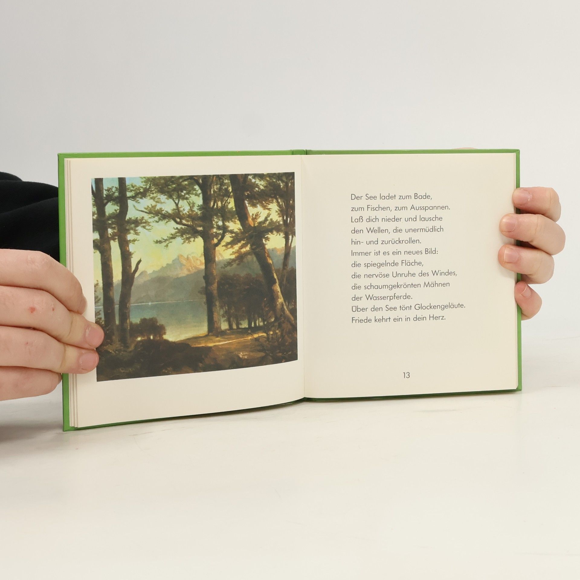 Anton Haller Das kleine Buch vom Wandern