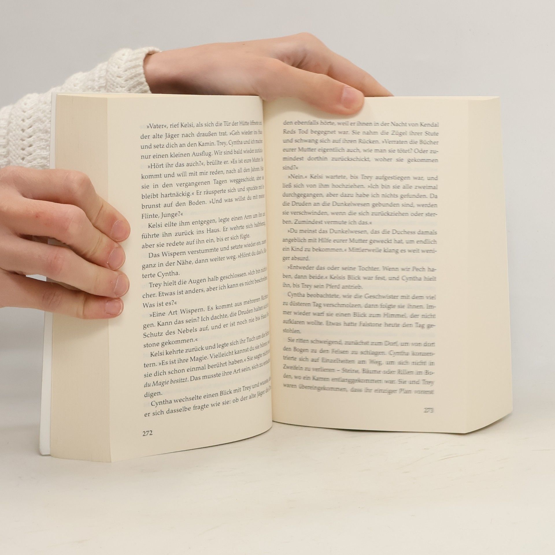 Stefanie Lasthaus Schneewittchens dunkler Kuss. Frau Holles Labyrinth