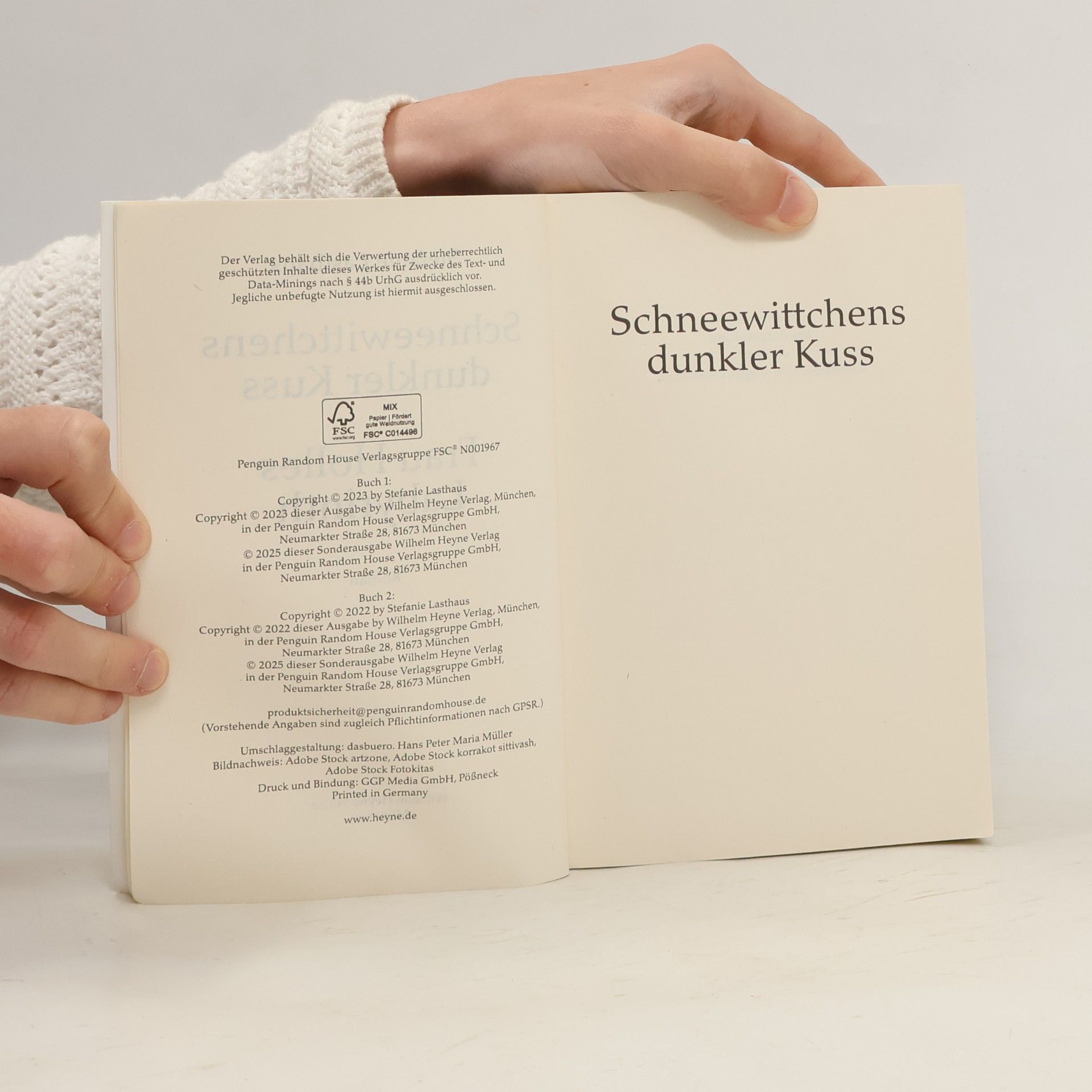 Stefanie Lasthaus Schneewittchens dunkler Kuss. Frau Holles Labyrinth
