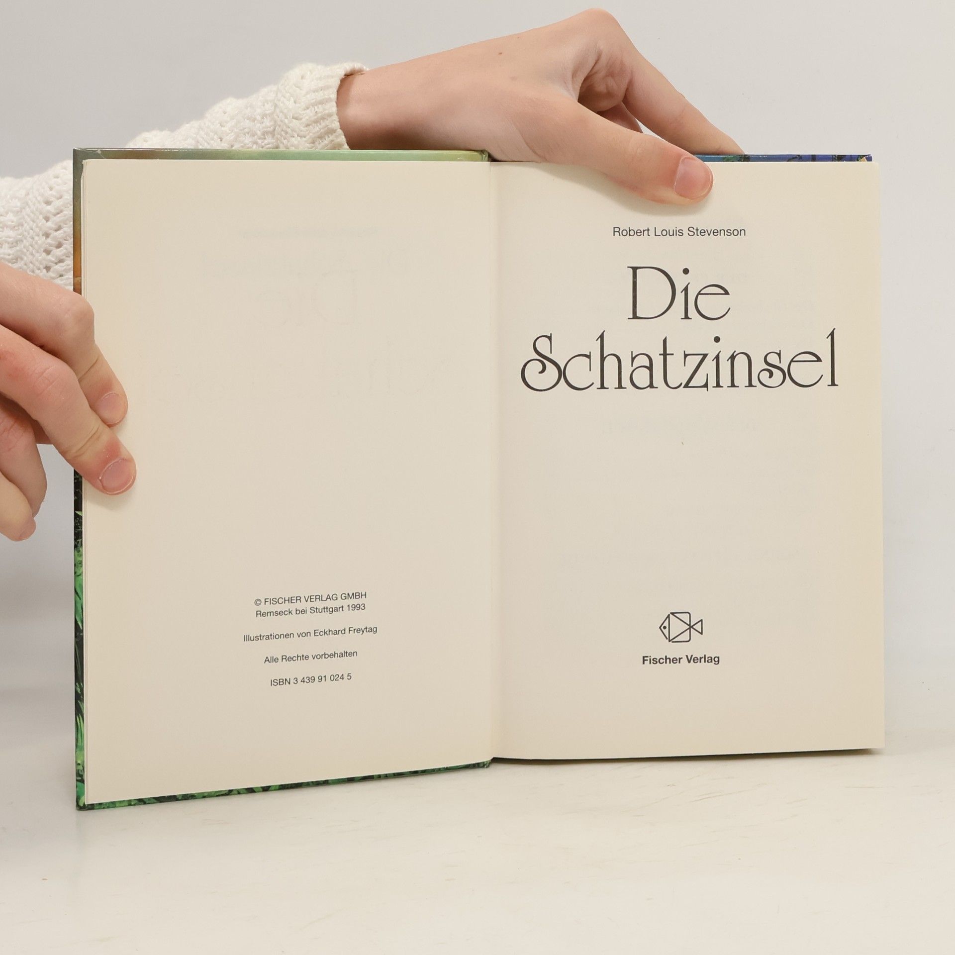 Die Schatzinsel