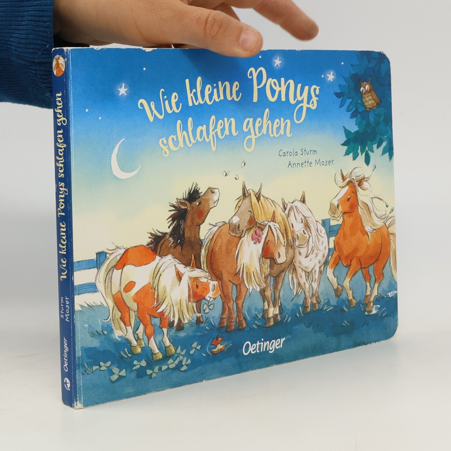 Wie kleine Ponys schlafen gehen