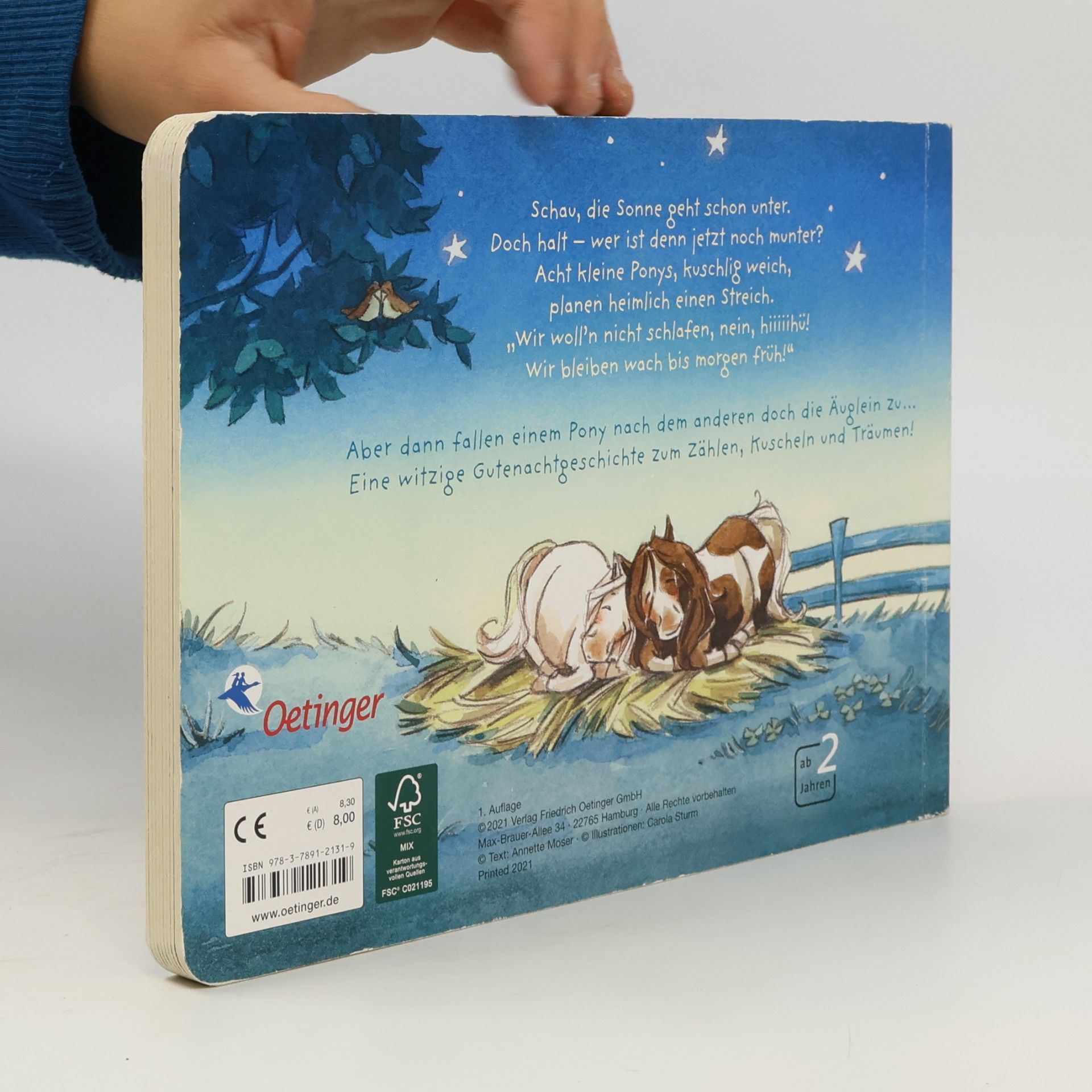 Annette Moser Wie kleine Ponys schlafen gehen