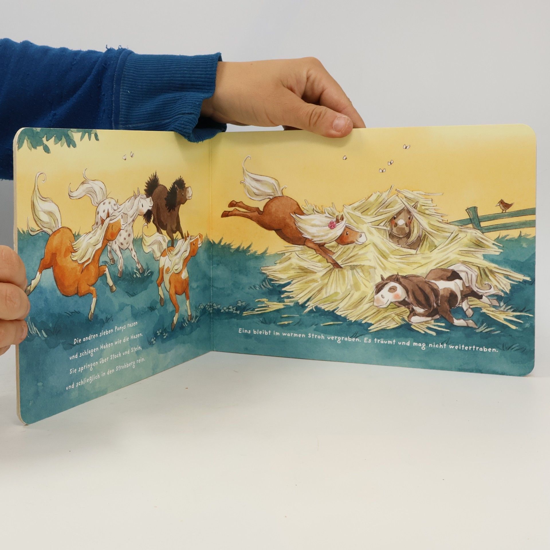 Annette Moser Wie kleine Ponys schlafen gehen