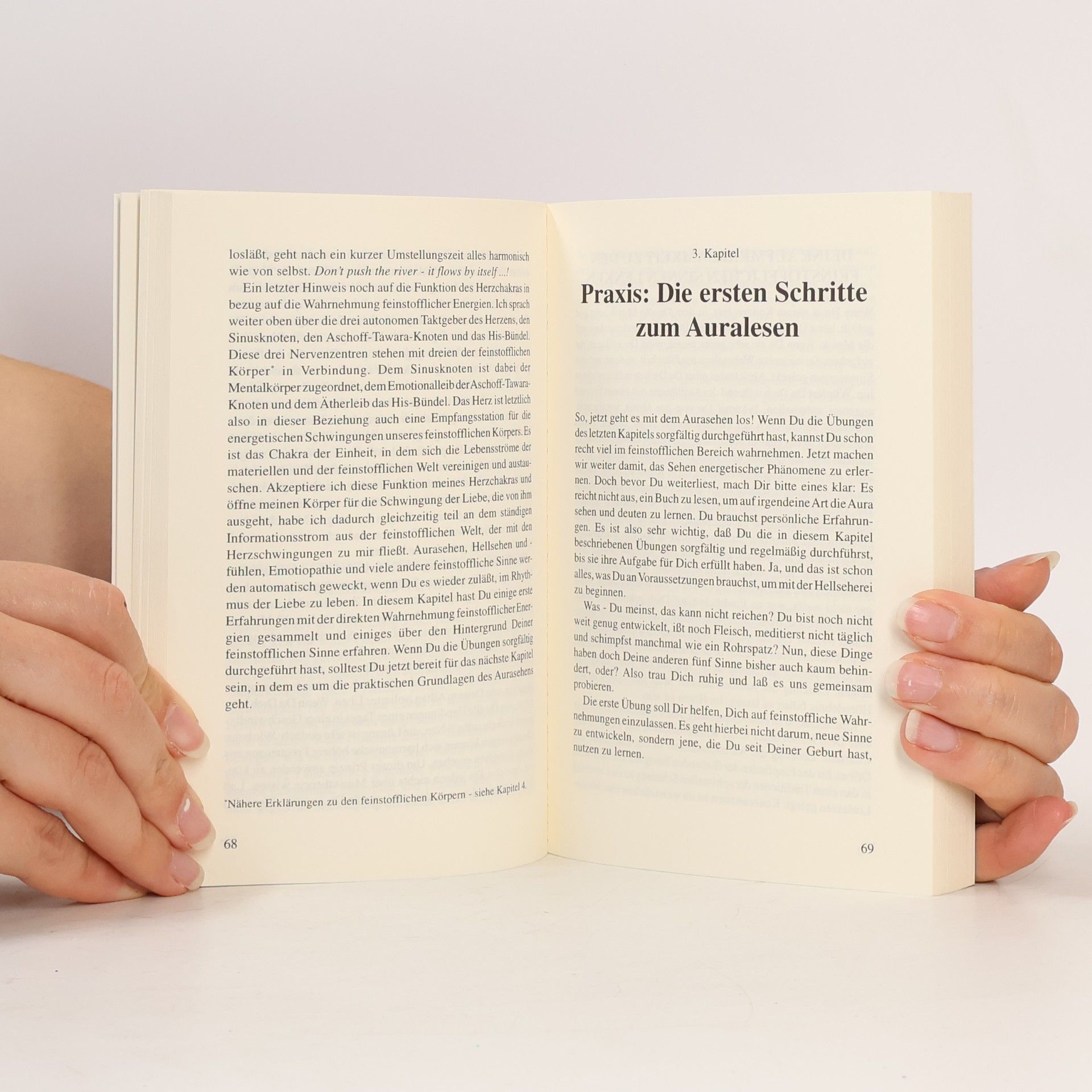 Walter Lübeck Das Aura-Heilbuch