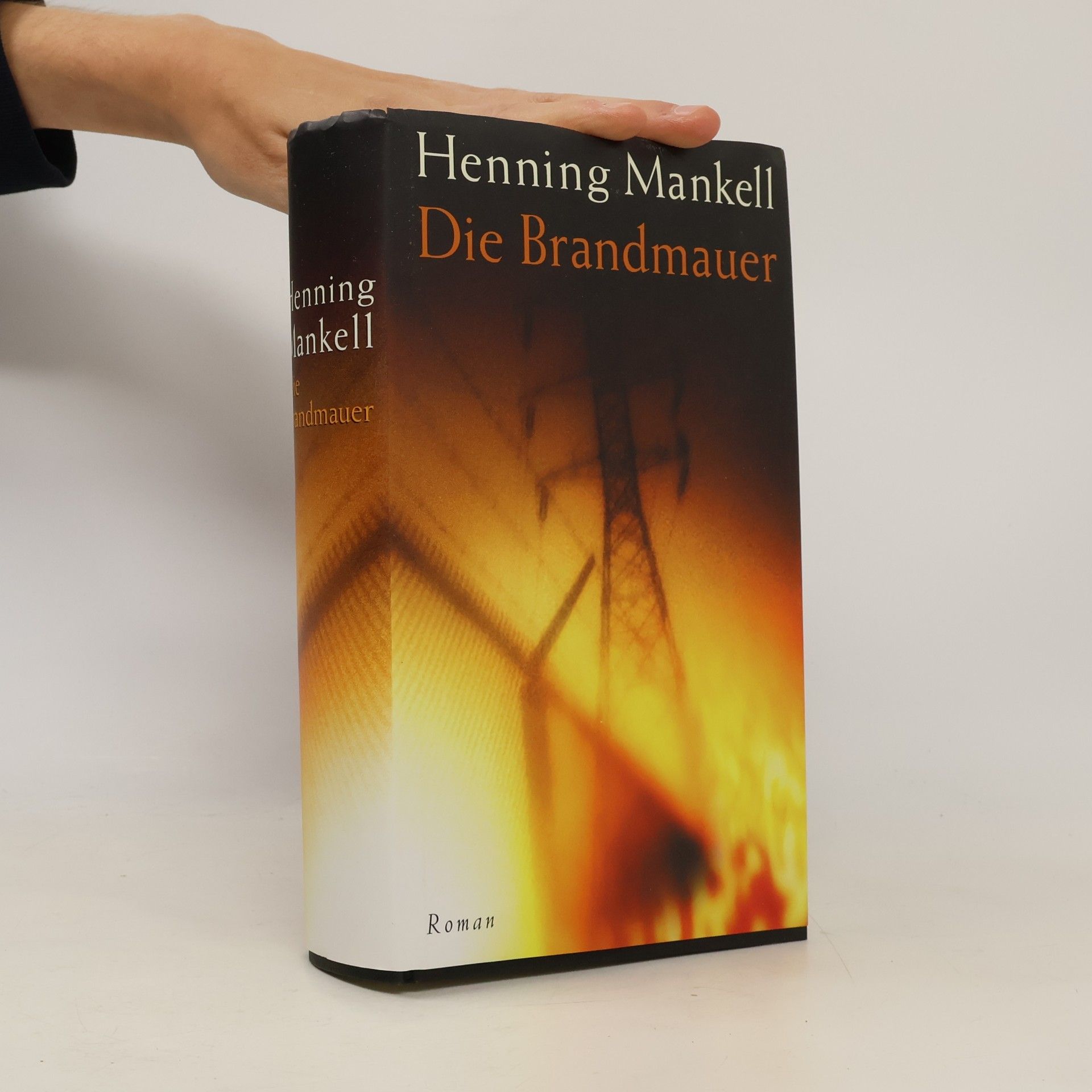 Henning Mankell Die Brandmauer