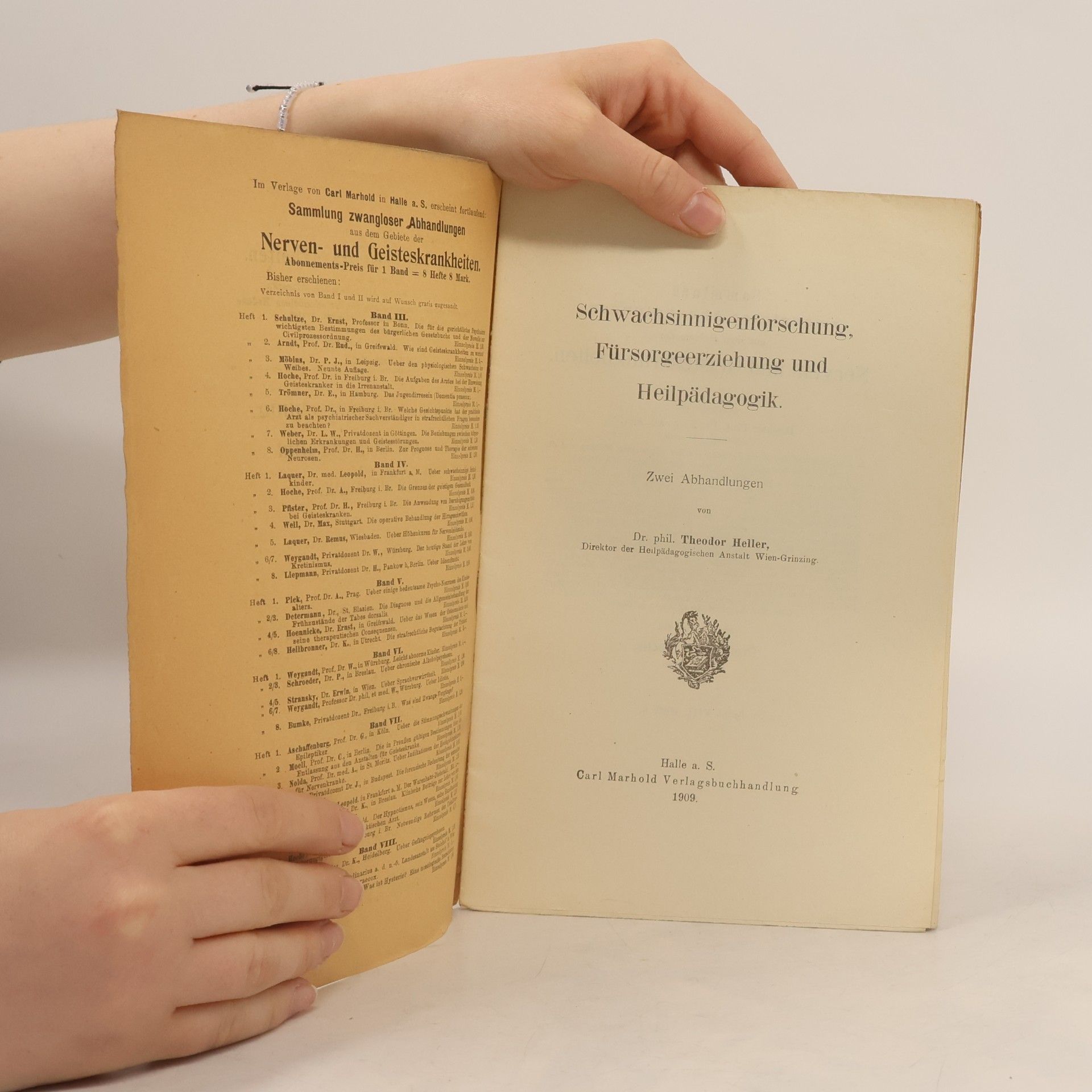 Theodor Heller Schwachsinnigenforschung, Fürsorgeerziehung und Heilpädagogik