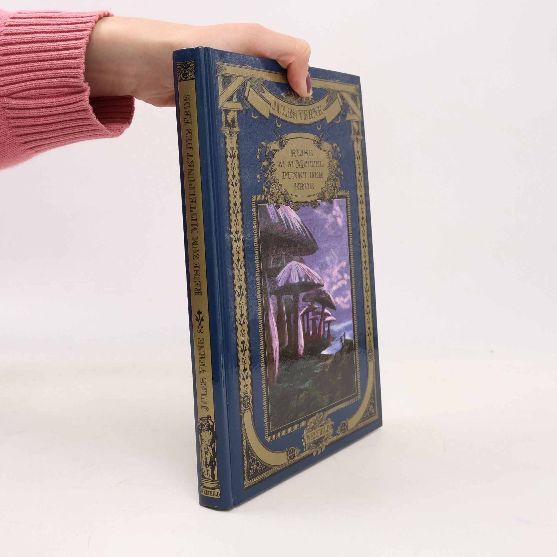 Jules Verne Reise zum Mittelpunkt der Erde