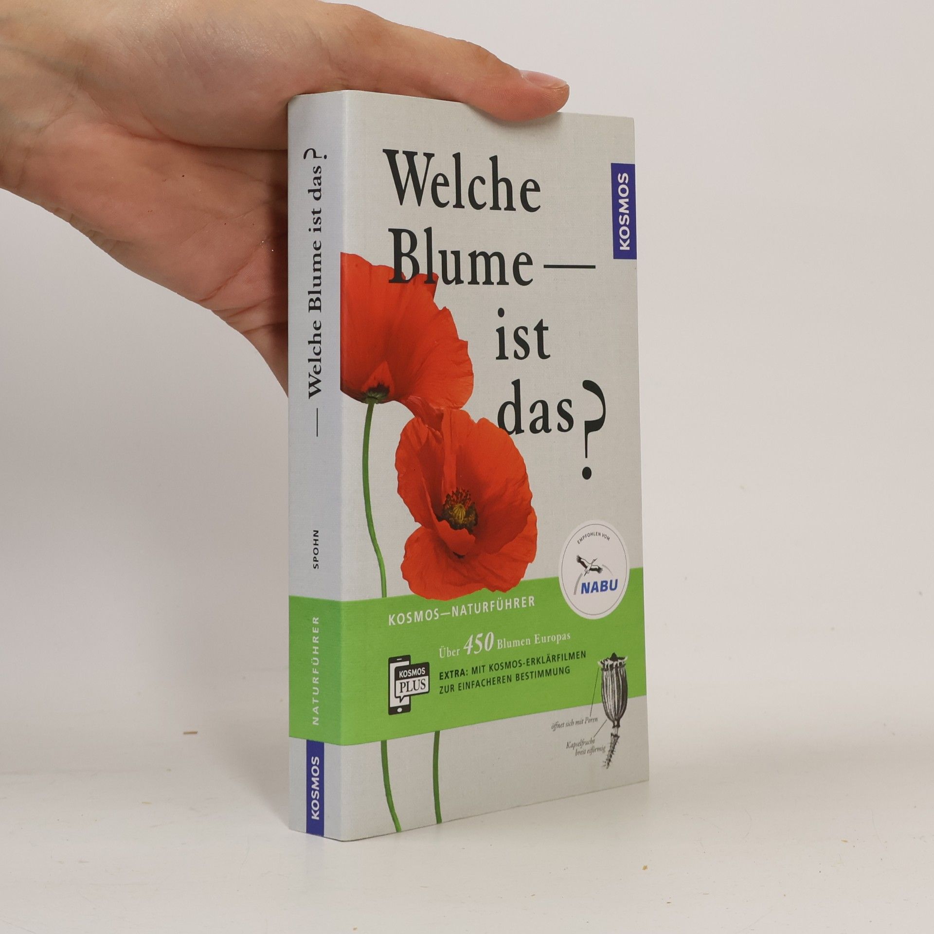 Margot Spohn Welche Blume ist das?