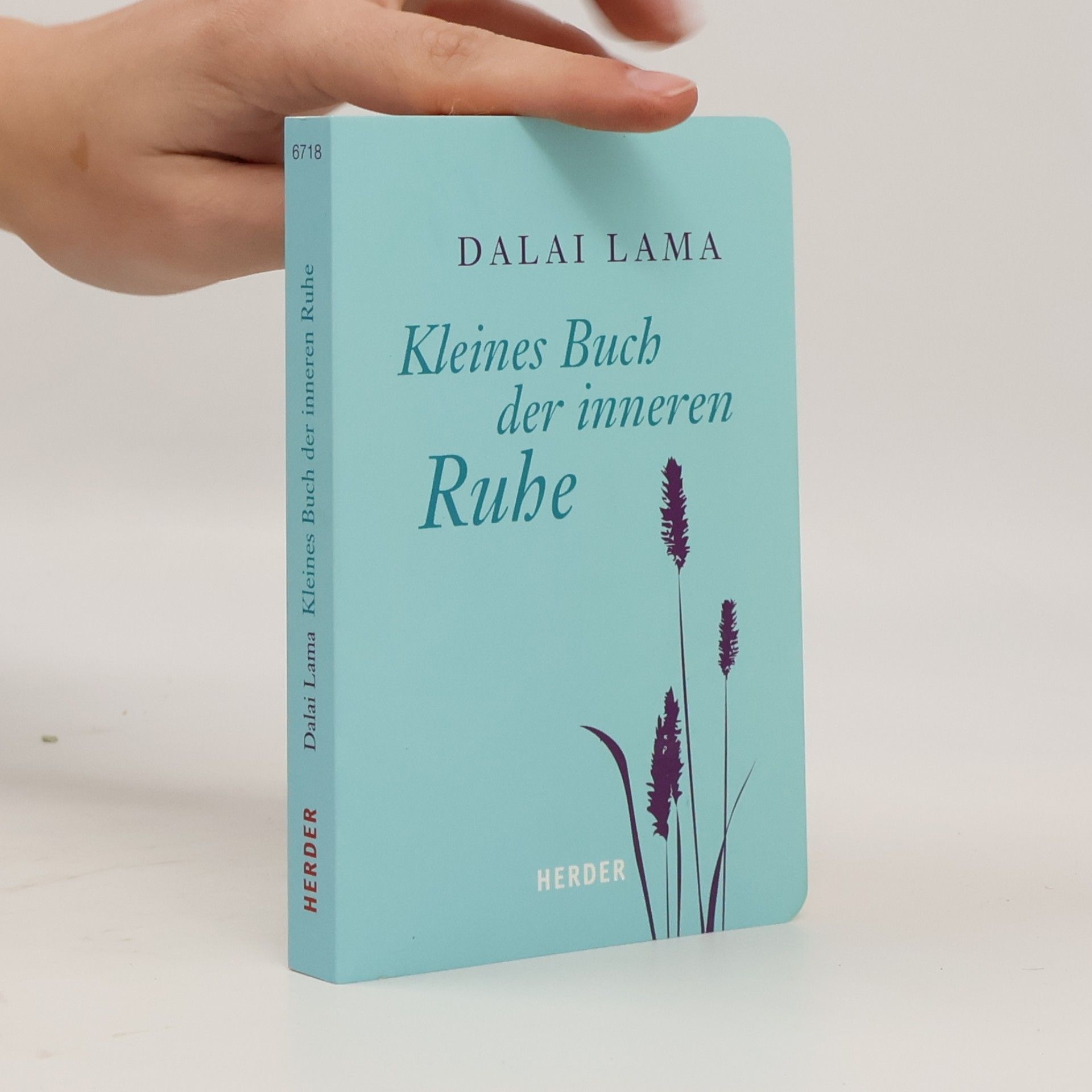 Kleines Buch der inneren Ruhe