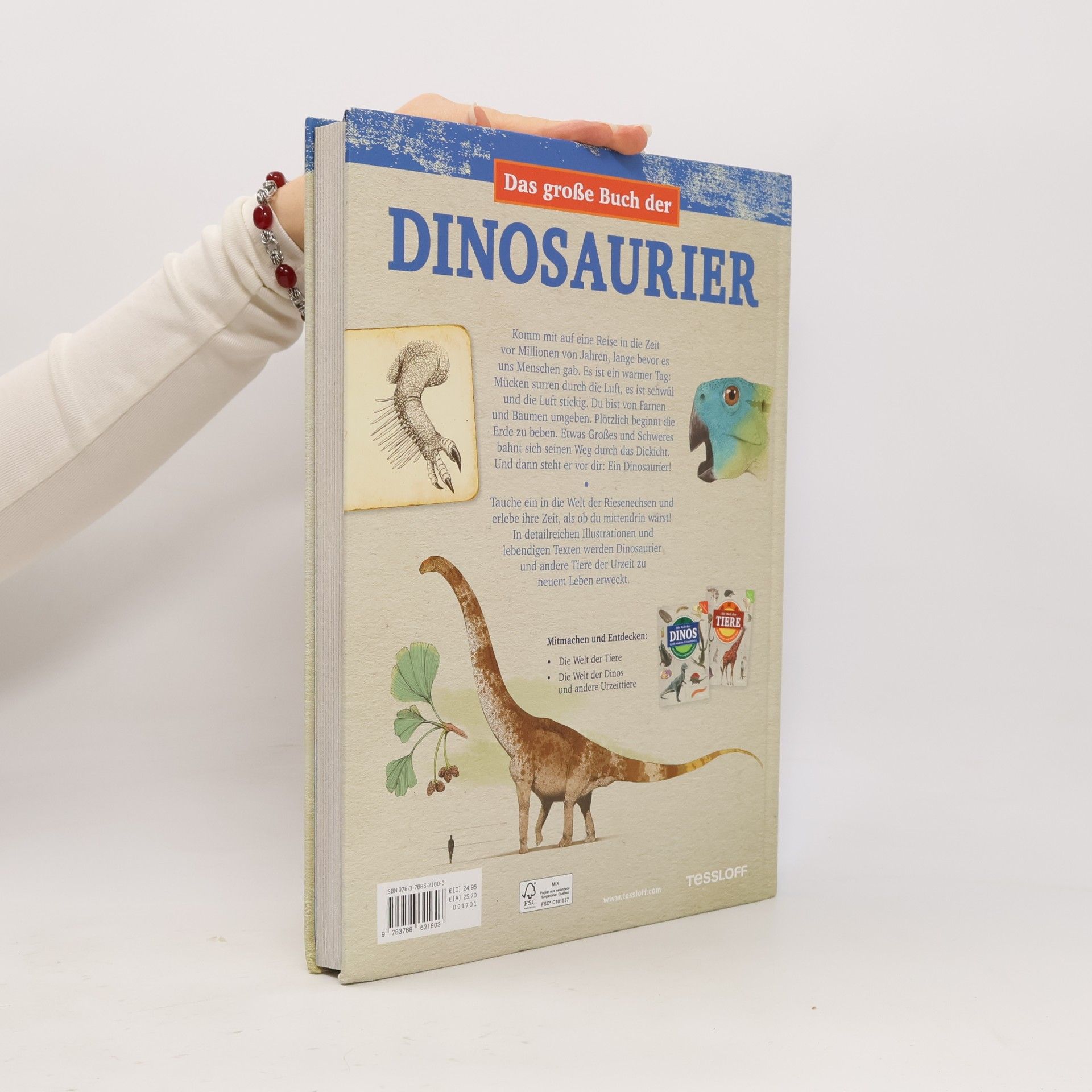 Juan Carlos Alonso Das große Buch der Dinosaurier