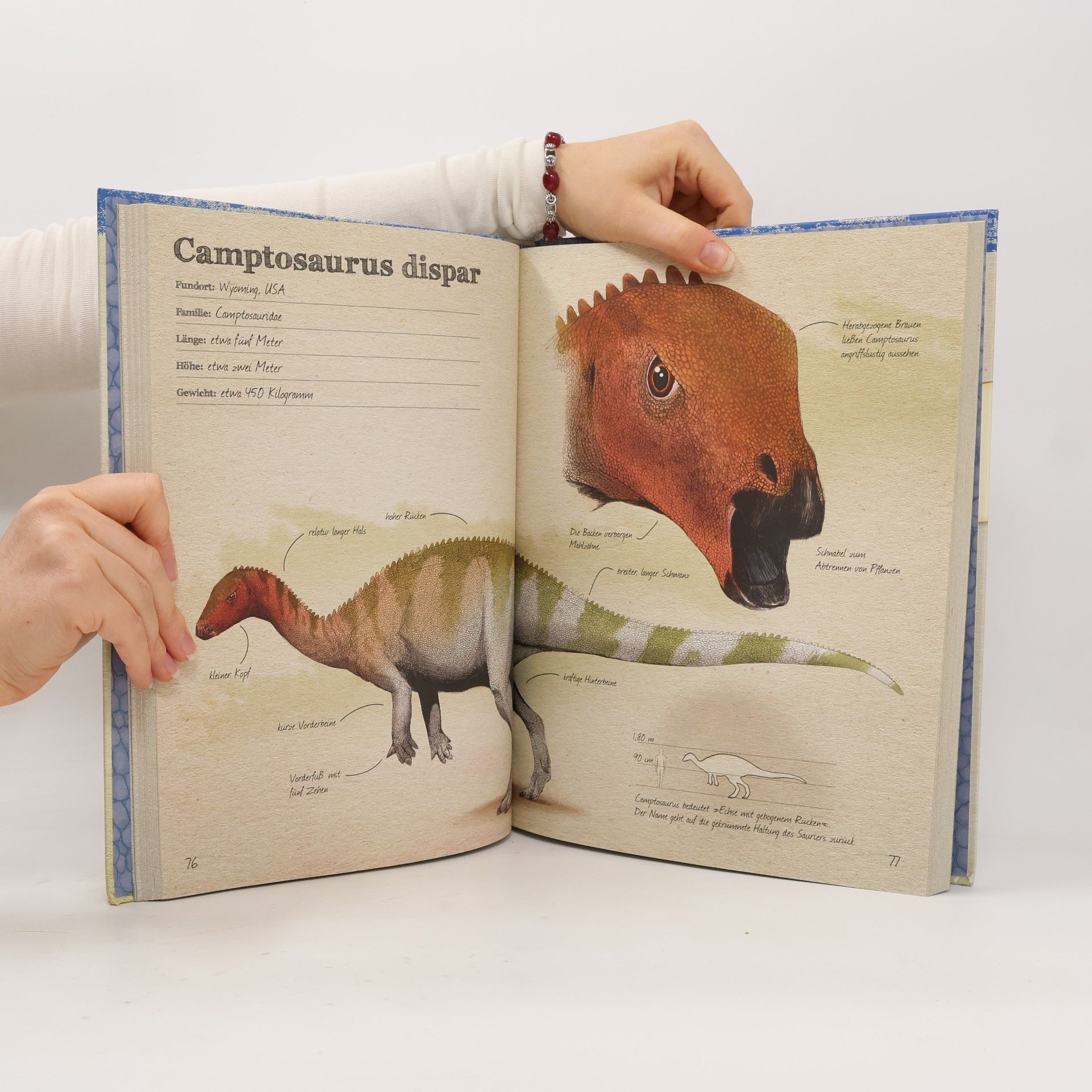 Juan Carlos Alonso Das große Buch der Dinosaurier